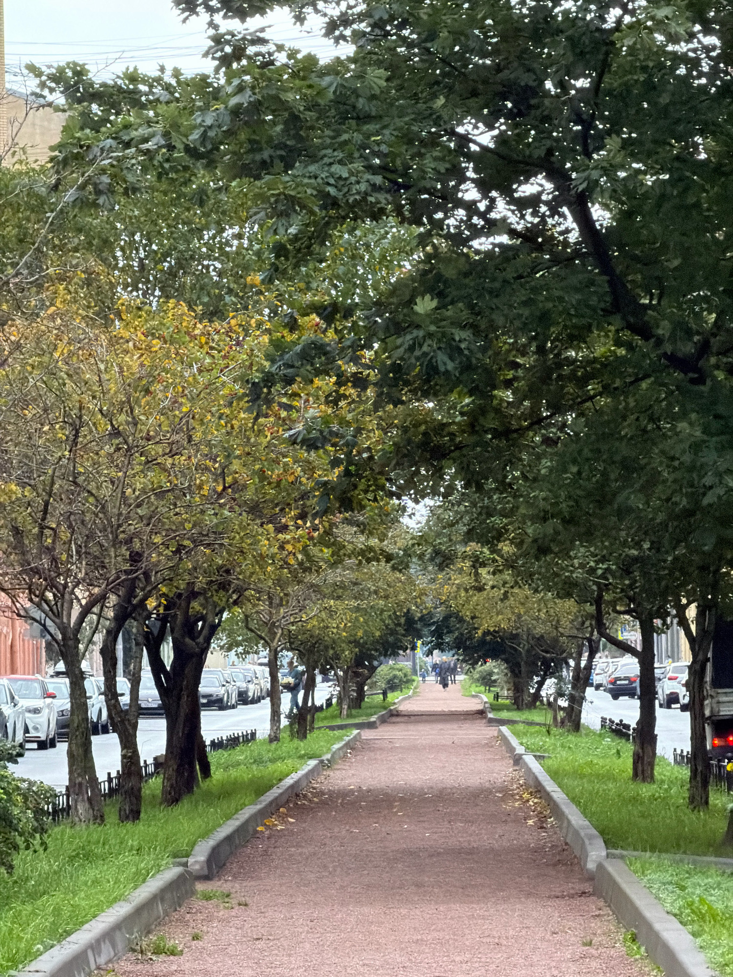 A tree-lined pathway runs through an urban park in St. Petersburg, Russia. The path is paved with reddish-brown gravel and bordered by green grass and concrete curbs. On the left side of the path, cars are parked along a street lined with buildings. On the right side of the path, more cars are visible on the street, with trees and a dark-colored truck further down. A few people can be seen walking along the pathway in the distance. The trees are a mix of green and yellow foliage, suggesting it is autumn. The sky is overcast, contributing to the muted lighting of the scene.