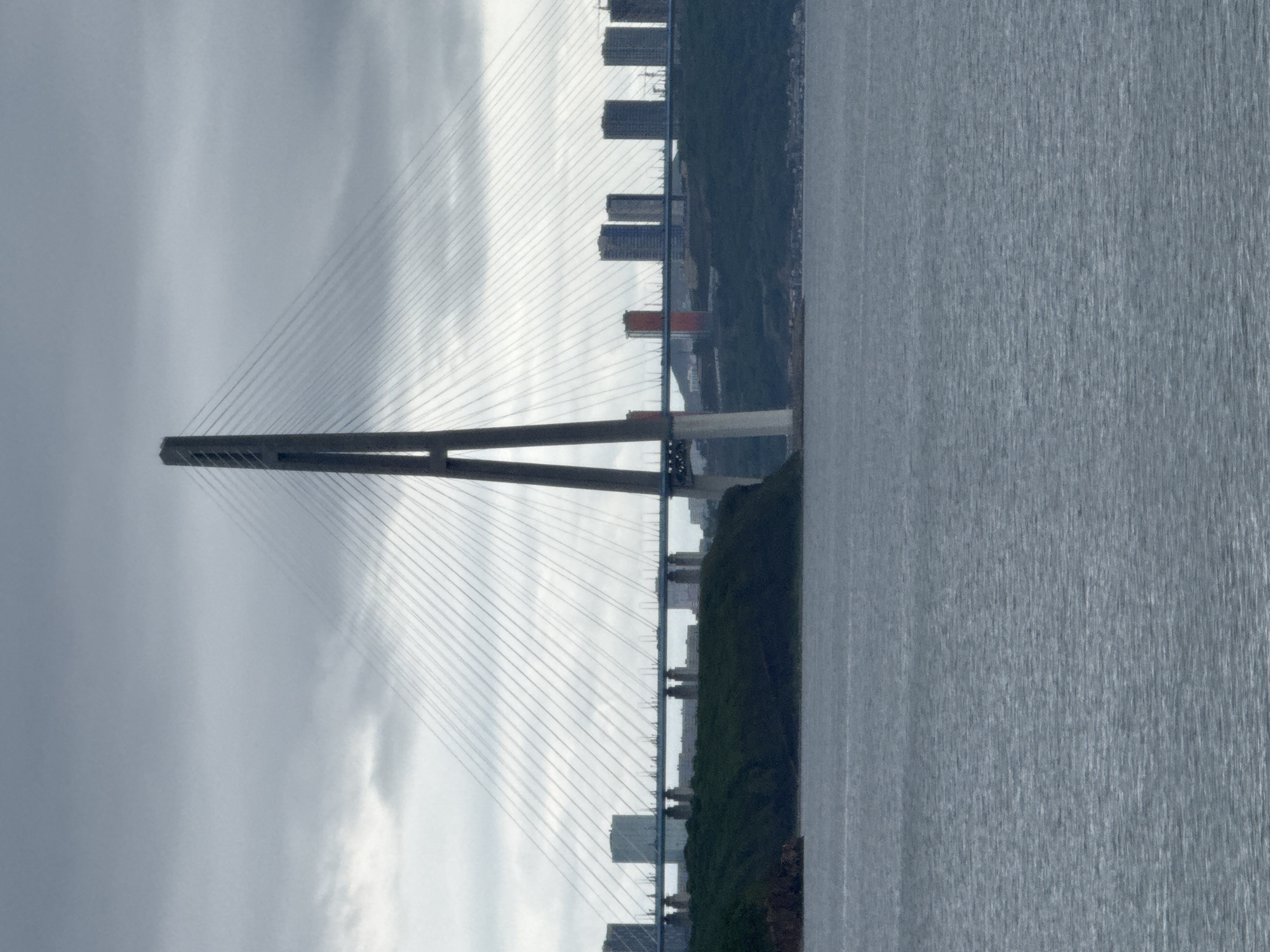 The image captures a cable-stayed bridge spanning a body of water, with a cityscape visible in the background. The bridge features two prominent concrete pylons, from which numerous cables descend to support the roadway. The roadway itself is elevated on concrete piers in some sections.
In the distance, on a tree-covered hillside, a cluster of modern buildings, including high-rise apartments and office buildings, are visible. One building stands out with its reddish-orange facade. The sky is overcast with a layer of grey clouds. The foreground is dominated by the water, with a gentle ripple pattern on its surface.
The scene is likely the Russky Bridge, a major infrastructure project in Vladivostok, Russia, which connects the mainland city to Russky Island. The bridge is known for its impressive scale and modern design, and the cityscape in the background represents the developing urban landscape of the area. There are no people or animals visible in the image. The overall atmosphere is one of a slightly somber, overcast day.