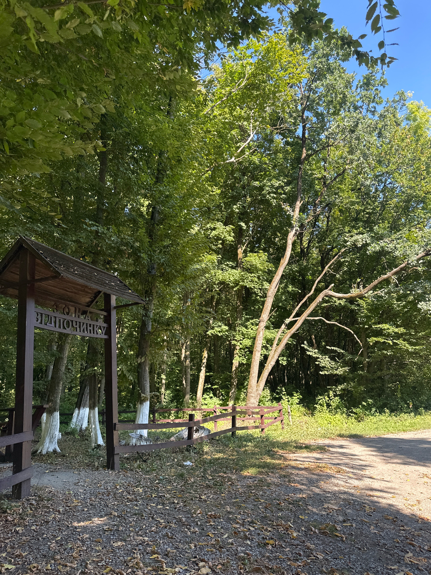 This is a vertical, medium-shot, outdoor photograph taken in Shatava, Ukraine, on a sunny day. The image features a wooden signpost with text that appears to be in Cyrillic script. The sign is located in a wooded area, with a gravel path and fallen leaves in the foreground. A wooden fence runs along the right side of the path, and a dirt road is visible in the background. The trees are lush and green, with some bare branches from a dead tree visible in the middle ground. The trunks of several trees near the signpost are painted white. The sky is clear and blue.