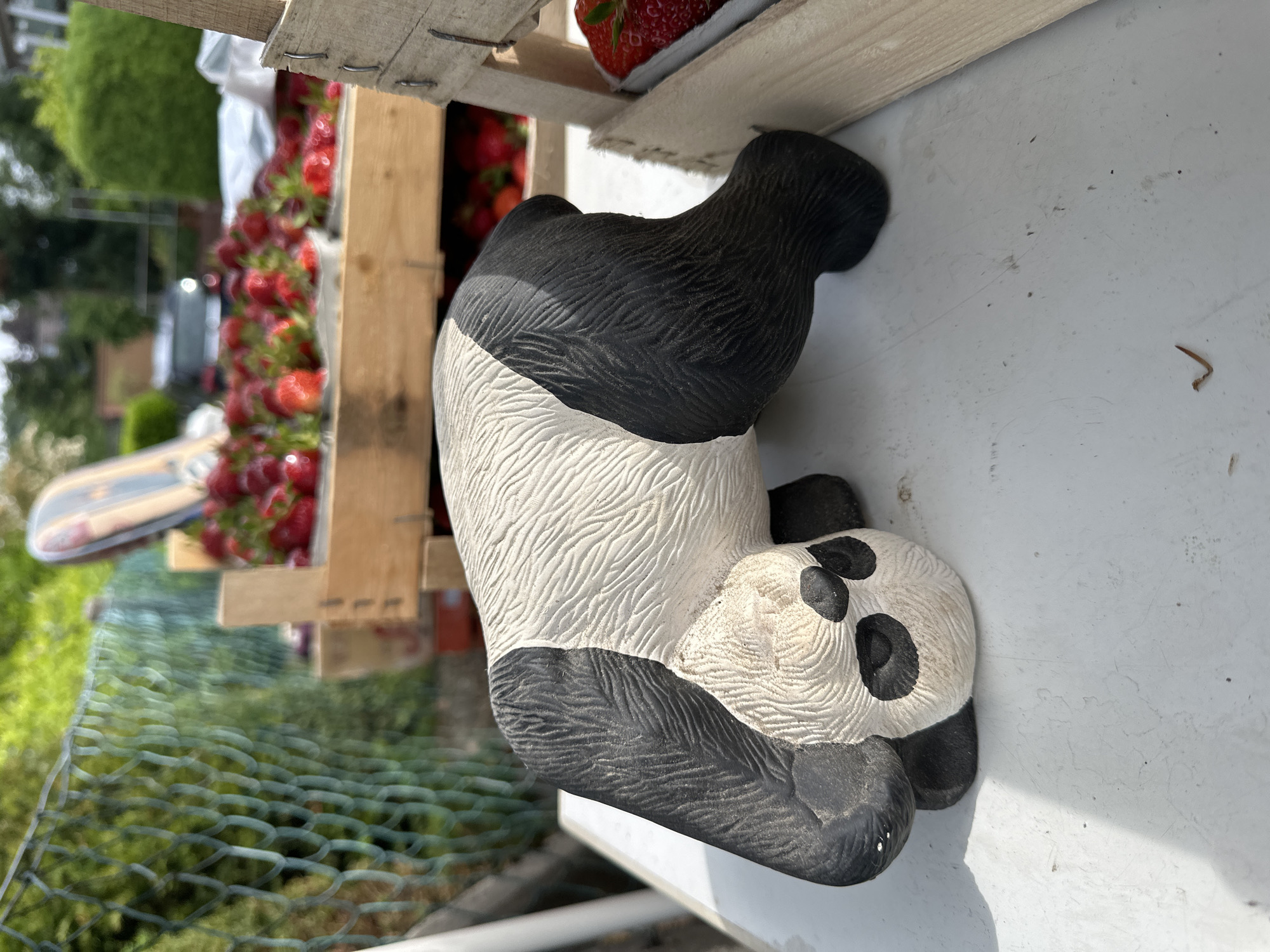 A close-up, medium-shot, color photograph taken in Bargstedt, Germany, shows a ceramic panda figure next to a wooden crate of strawberries. The panda, primarily white with black markings on its ears, eyes, and limbs, rests on a light gray surface with some dark debris. The wooden crate, filled with numerous bright red strawberries, sits adjacent to the panda. The strawberries are packed tightly together, with visible green leaves on some. A green wire fence is partially visible in the background, with blurred green foliage extending beyond it. The overall scene suggests an outdoor setting, possibly a garden or market stall in Bargstedt, Germany.