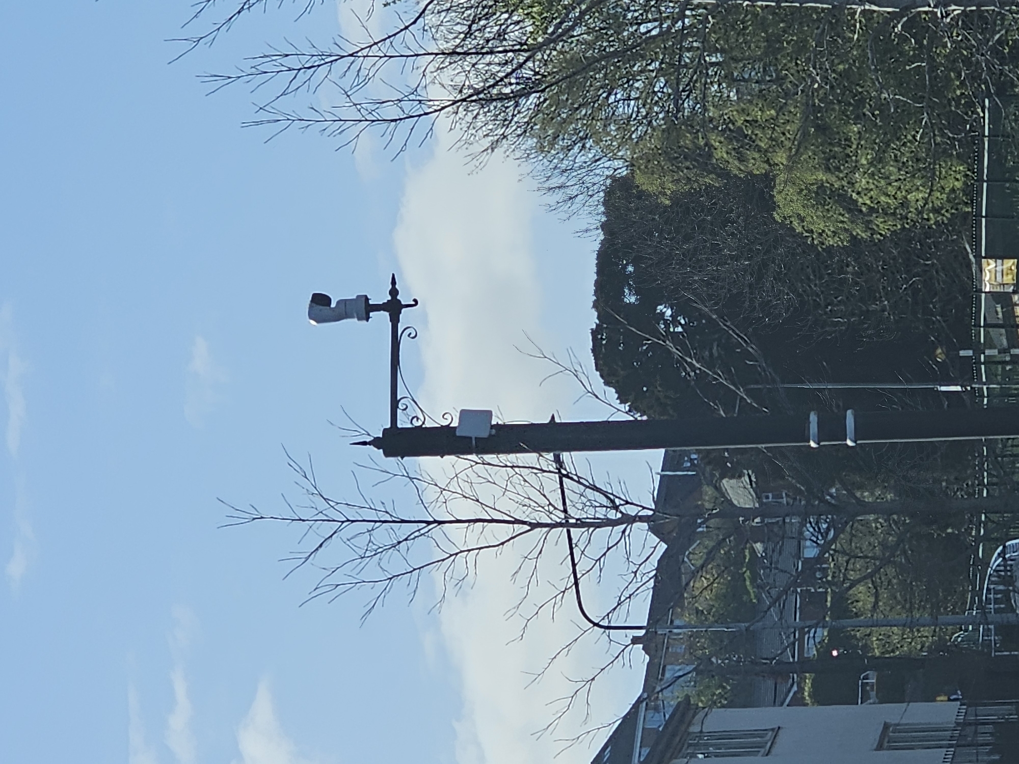 The image depicts an outdoor daytime scene, featuring a prominent dark utility or lamppost against a clear blue sky with sparse white clouds. The photograph appears to have been taken in late winter or early spring, evidenced by the bare, intricate branches of deciduous trees silhouetted against the sky, extending from both sides of the pole.
Mounted near the top of the pole is a white, cylindrical security camera or sensor device, pointing diagonally upwards. Below it, an ornate, dark metal scrollwork bracket typical of decorative street lighting is visible. Further down the pole, a small, square, white box is attached.
To the right side of the frame and in the upper background, a dense cluster of green-leafed trees indicates the presence of evergreen foliage or trees that have already started budding. Portions of buildings, including one with a lighter facade and visible windows, are discernible in the background, partially obscured by the pole and tree branches.
The bright, natural lighting suggests it is daytime with good weather. No people or specific activities are visible, presenting a static view of an urban or suburban environment. There is no discernible text within the image. The style of the street furniture and buildings is consistent with the provided location context of Holywell, United Kingdom.