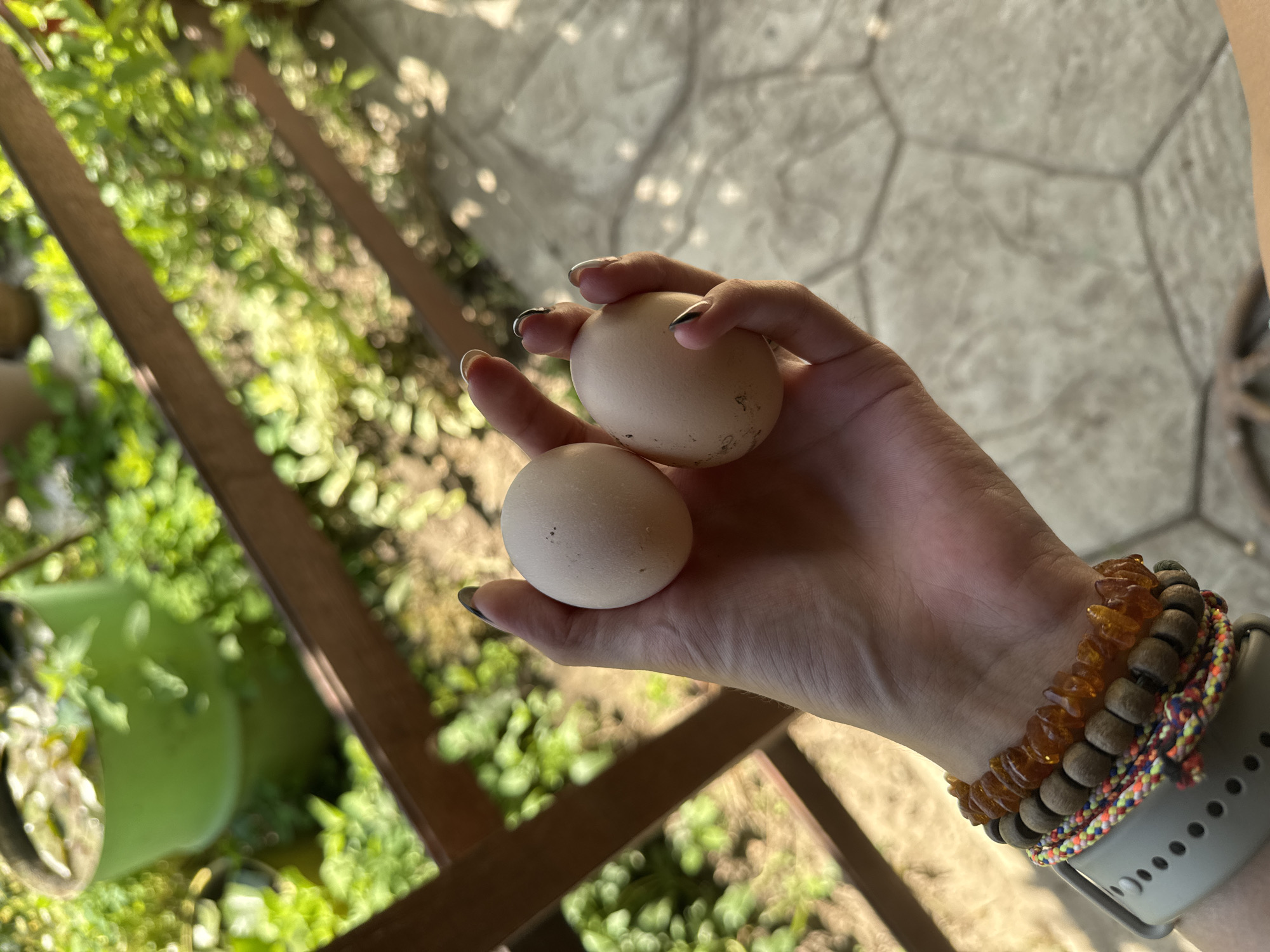 A hand holds two eggs against a blurred background of green plants and a patterned concrete surface. The hand is adorned with bracelets, including one with amber-colored stones. The location is Butan, Bulgaria.