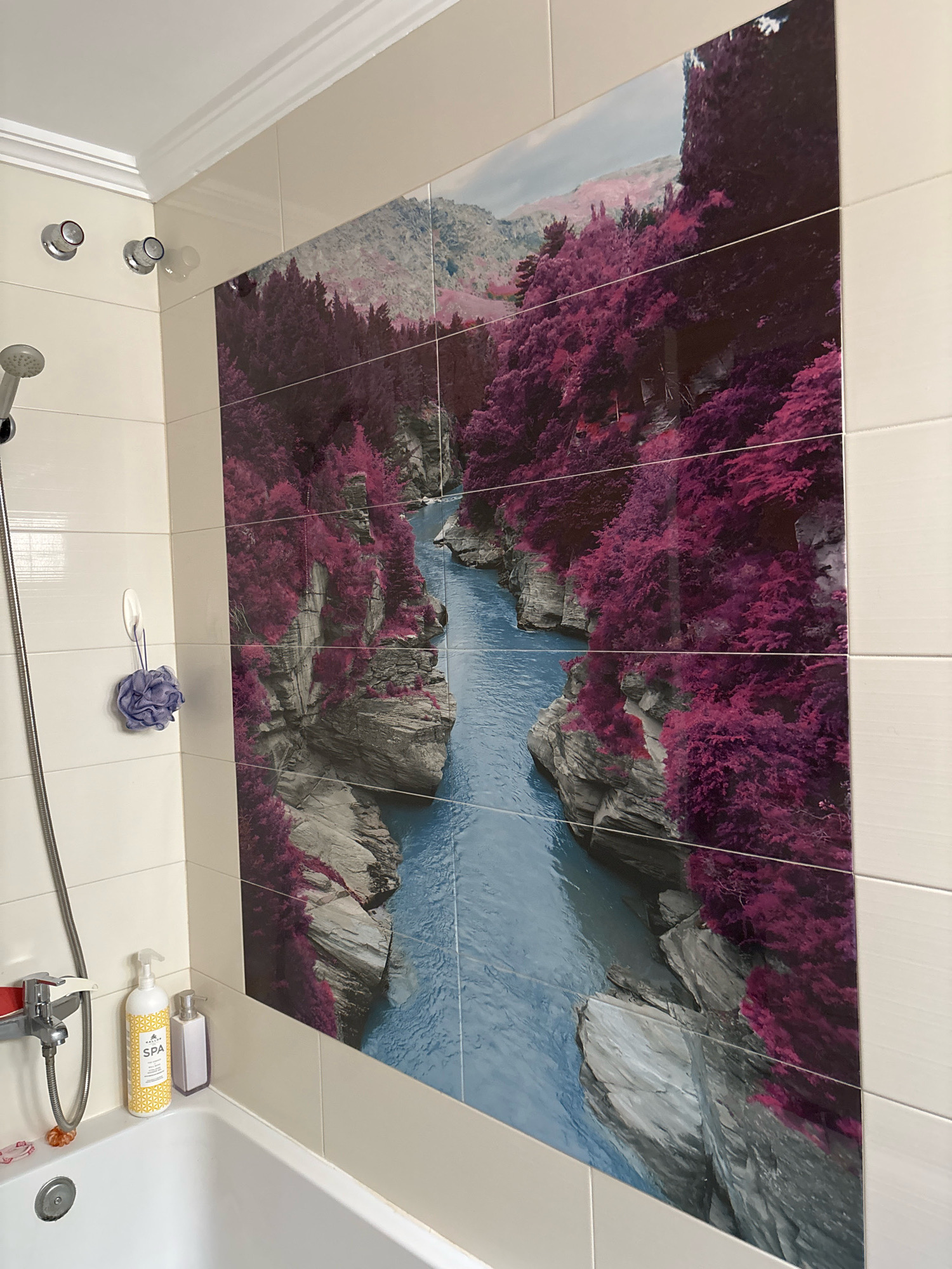 The image shows a brightly lit bathroom with a large tiled mural depicting a surreal landscape. The mural features a vibrant blue river winding through a canyon with steep, grey rocky cliffs. The vegetation on the cliffs is an unnatural, vivid fuchsia color. The mural is composed of multiple square tiles.
In the foreground, the edge of a white bathtub is visible. On the edge of the bathtub are two bottles: one is a tall, white dispenser with yellow text that reads "SPA", and next to it is a smaller, rectangular dispenser with a pale pinkish hue. To the left of the bottles, a chrome showerhead and faucet assembly is mounted on the wall. A purple mesh bath pouf hangs from a white hook on the tiled wall.
Above the mural, the ceiling features white crown molding. On the left side of the wall, above the shower controls, are two chrome fixtures, possibly for a secondary showerhead or body jets, and another round chrome fixture. The walls are tiled with large, rectangular, off-white tiles. The lighting suggests an artificial light source, likely from the ceiling.
The image does not contain any people or indicate a specific location within Málaga, Spain. It is a static interior scene.
