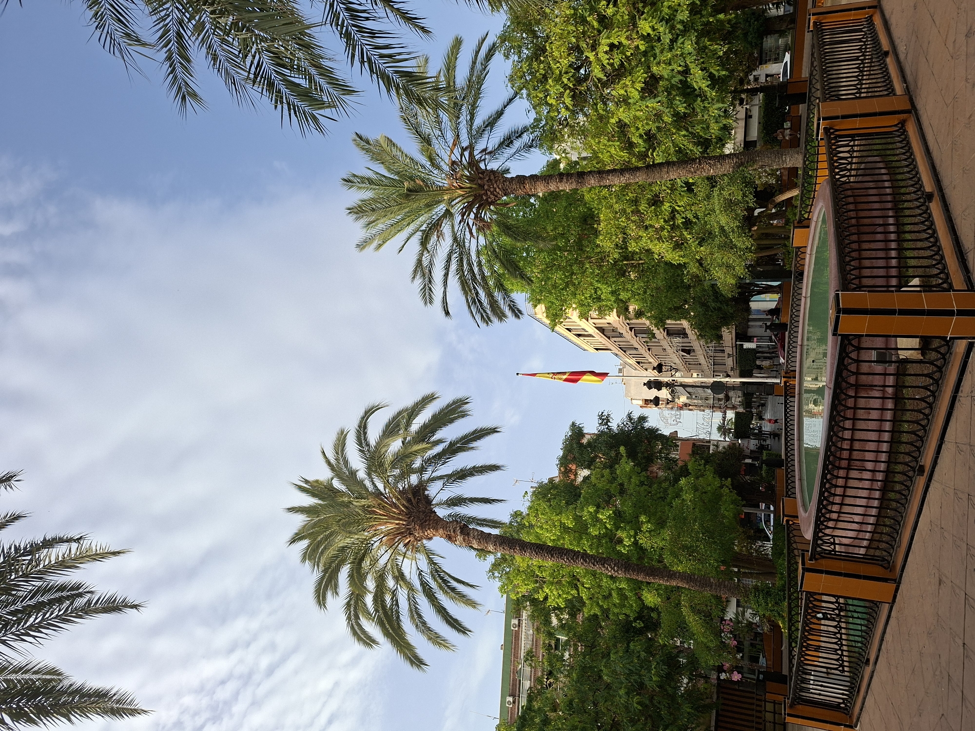 The image depicts a public square in Torrevieja, Spain, with a central fountain and surrounding palm trees. In the foreground, a circular fountain with green water is enclosed by a decorative black metal fence with orange and black tiled accents. Beyond the fountain, two prominent palm trees stand tall, flanking a street lined with buildings. A Spanish flag is visible, flying from a flagpole in the middle distance. Lush green trees and mature foliage are scattered throughout the scene, contributing to a vibrant, urban park-like atmosphere. The architecture suggests a Mediterranean setting, with multi-story buildings and awnings. The sky is a bright blue with scattered white clouds. A few people are visible in the background walking along the street and sitting on benches.