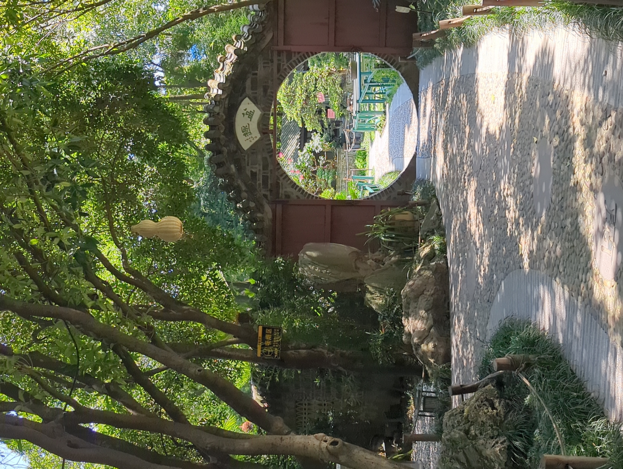 This is a sunny outdoor image taken in Qingyang District, China, likely within a traditional garden or park. In the foreground, a paved walkway curves to the left, composed of small, light-colored stones. To the left of the walkway, lush green grass and decorative rocks are present. A dark wooden post with a rope railing borders the walkway. In the center of the image, a large, arched gateway with a dark, tiled roof and dark wooden doors frames a view into a garden beyond. The archway is circular in its opening. Above the circular opening, a sign with Chinese characters is affixed to the arch. Hanging from a tree branch in the upper left portion of the frame is a light-colored, gourd-shaped ornament. The background, visible through the archway, reveals a garden with trees, some with pink blossoms, and bonsai trees displayed on tables. Green metal railings are also visible within the garden. The overall scene is well-lit by sunlight, casting dappled shadows on the walkways and surrounding foliage.