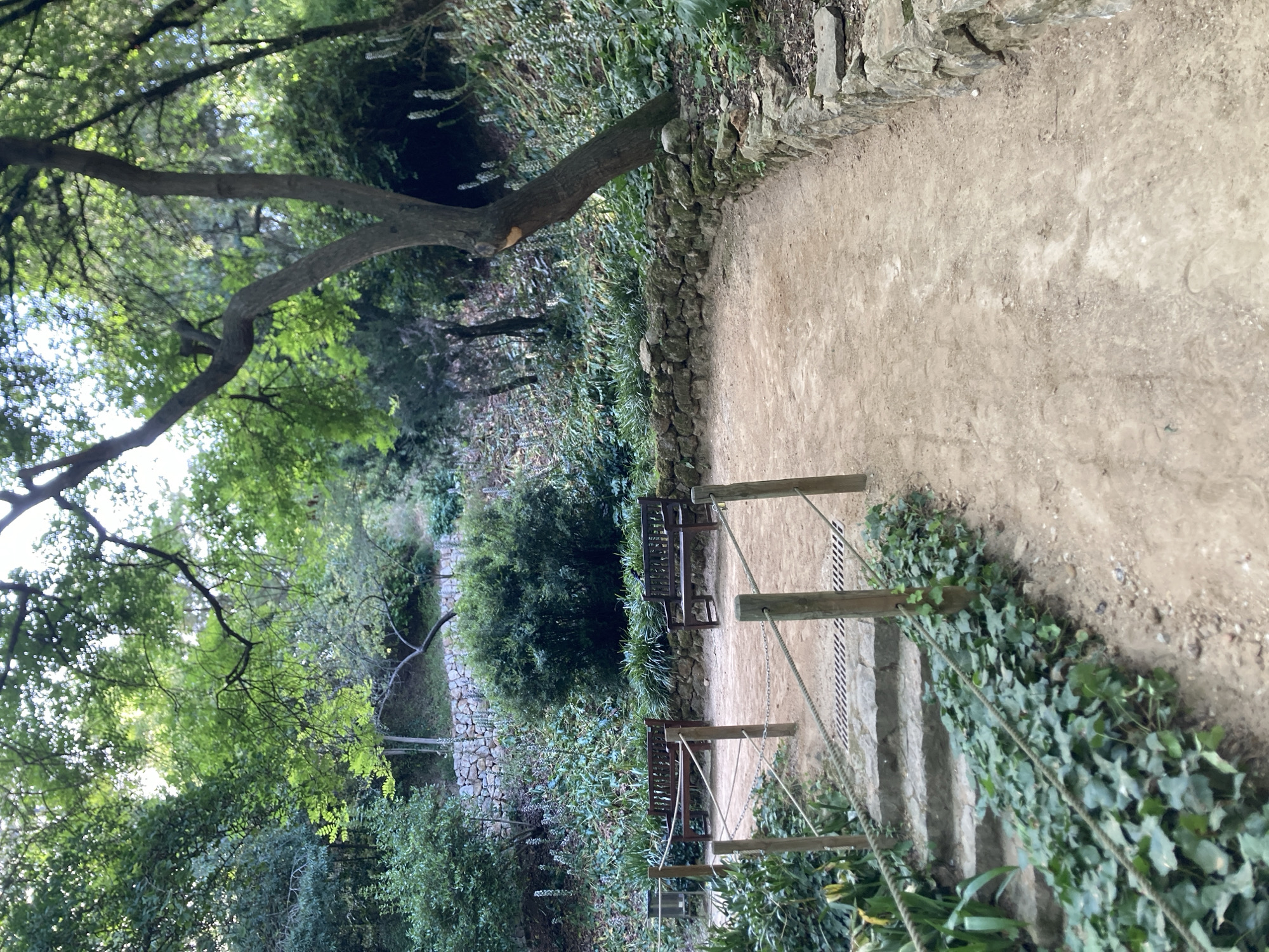 This is a vertical, eye-level shot of a pathway in a park, likely Park Güell in Barcelona, Spain. The path is made of light brown dirt and is curved, bordered on the right by a low stone wall. Lush green vegetation, including ivy, shrubs, and trees, surrounds the path. Two dark wooden benches are visible on the left, set back from the path, atop a small rise. A set of stone stairs with ivy growing on either side leads up to the benches. Wooden posts with rope railings guide the way up the stairs. In the background, more trees and foliage create a dense, green canopy, with a sliver of bright sky visible through the leaves. The overall scene evokes a tranquil, natural setting within a park.