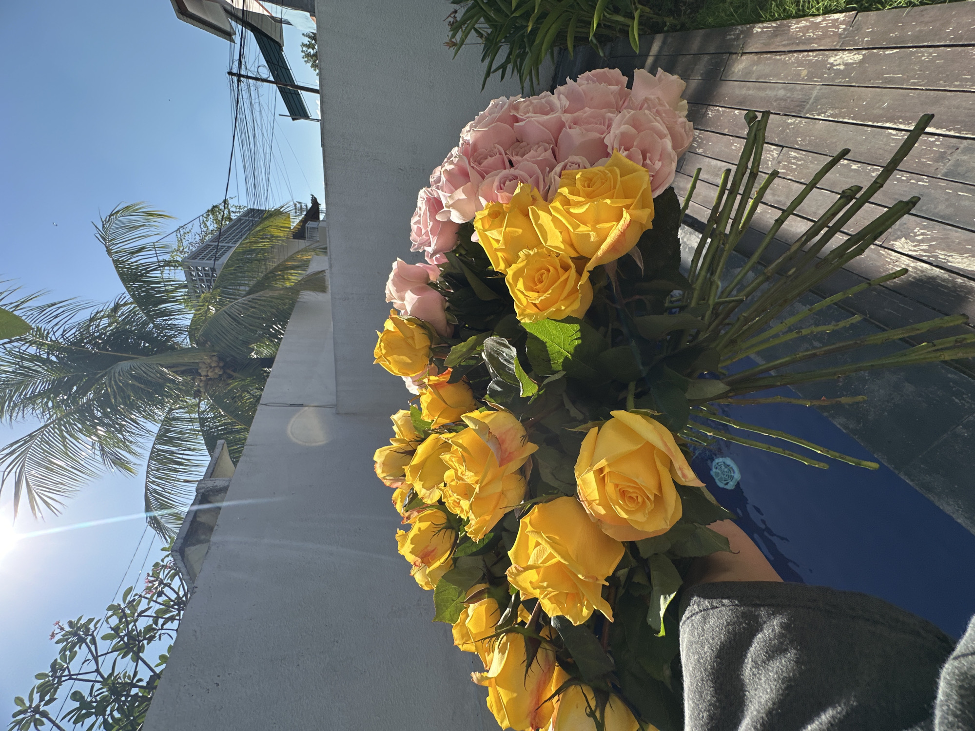 A bouquet of yellow and pink roses is held by a person wearing a gray hoodie and a blue shirt, viewed from the chest down. The flowers are in the foreground, with their stems resting on weathered wooden planks, possibly a deck or pathway. Behind the flowers is a textured, light-colored wall, partially illuminated by bright sunlight casting shadows. Palm fronds and other foliage are visible above the wall, suggesting an outdoor tropical setting. The sky is a clear blue, with the sun creating a lens flare. In the background, a modern building with a balcony and utility wires are visible. The scene appears to be in North Kuta, Indonesia, characterized by its warm climate and lush vegetation.
