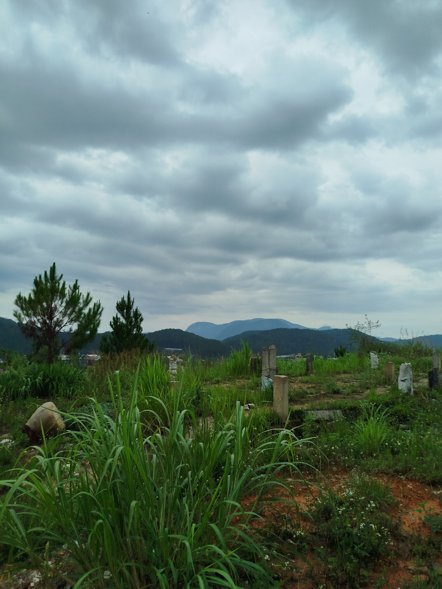 The image depicts a landscape scene under an overcast sky in Da Lat, Vietnam. The foreground is dominated by lush green vegetation, including tall grasses and other ground cover. Scattered concrete posts are visible across the immediate field. Beyond the field, the landscape slopes upward, revealing rolling hills and mountains in the distance, silhouetted against the cloudy sky. Some buildings are nestled amongst the greenery. The color palette leans towards shades of green and gray.