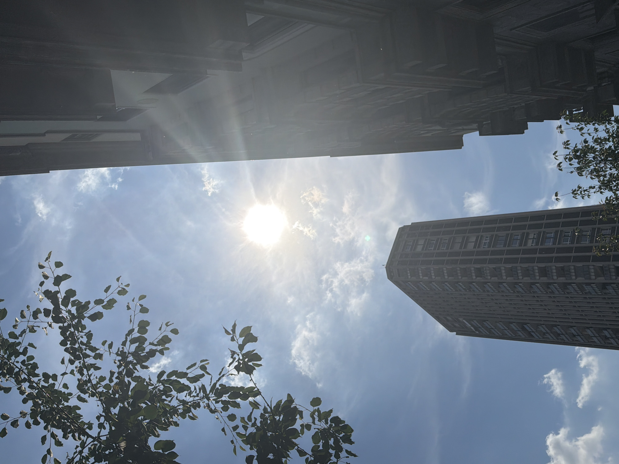 The image shows a view looking upwards in Milan, Italy, towards a blue sky with scattered clouds and the sun obscured by haze. Two buildings frame the sky. One building is on the top, close to the frame, and appears taller and more modern. It has a gray facade with regular horizontal patterns. On the lower right, a taller gray skyscraper is partly visible, its windows appearing in rows. Branches with green leaves are on the bottom left and the top right. The sun is the center of the image.