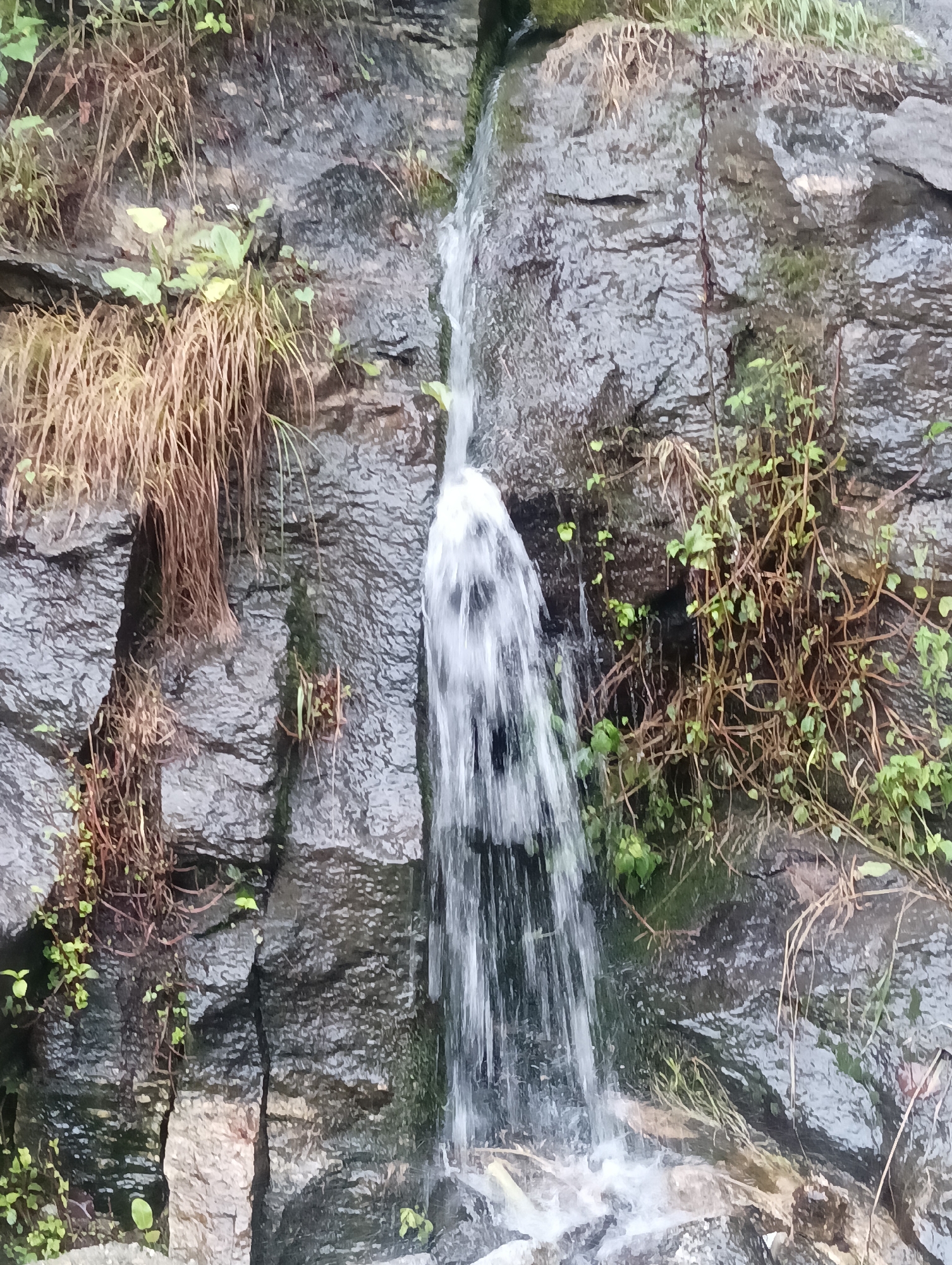 The image depicts a small waterfall cascading down a rocky, moss-covered cliff face. The rocks are dark and textured, with some lighter-colored stones interspersed. Lush green vegetation, including vines and grasses, grows in patches on the cliff. The water appears to be flowing rapidly, creating a misty effect at its base. The scene is likely an outdoor natural setting, possibly in the Himalayas near Goshal, India, given the vegetation and rock formations. There are no people or animals visible in the image. The lighting suggests an overcast or shaded day.