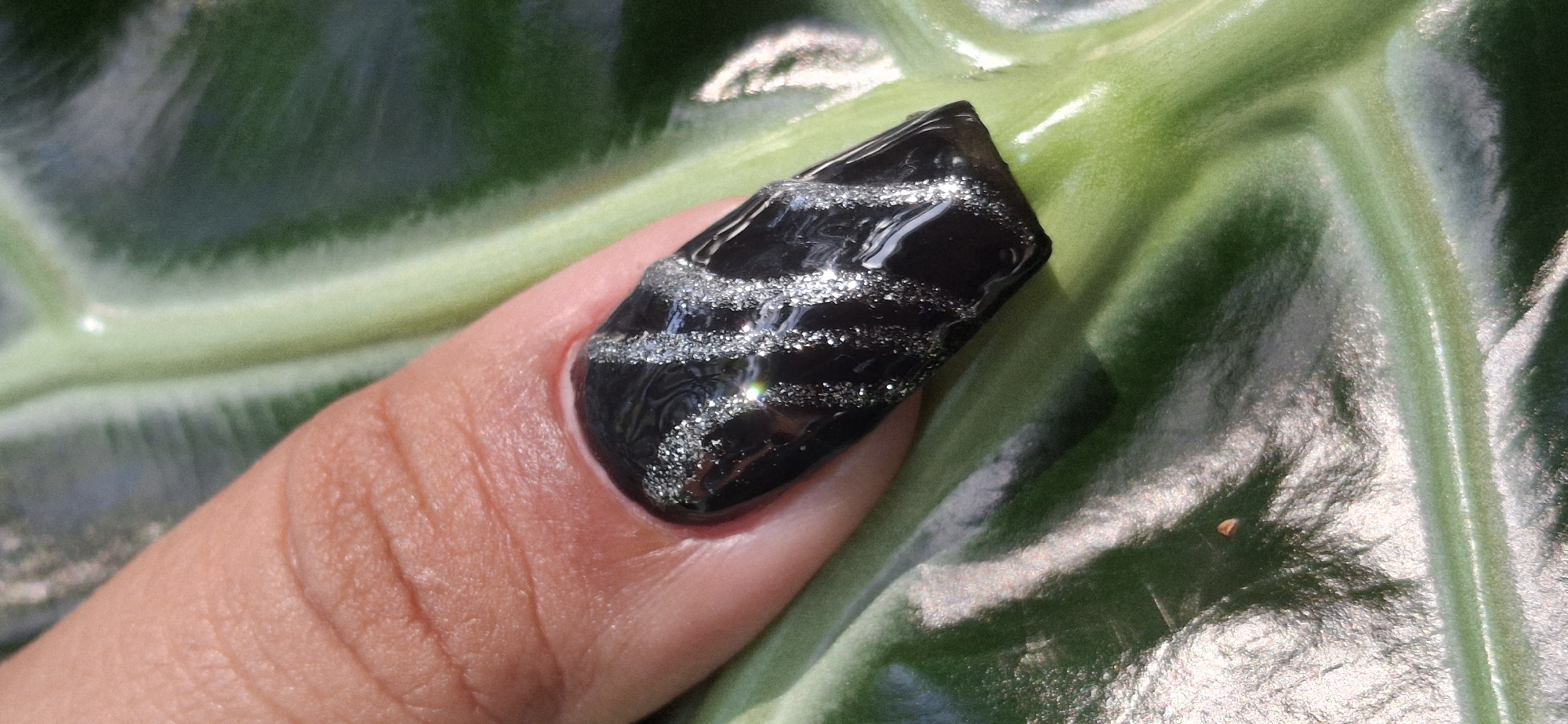 A close-up, vertical shot showcases a fingernail with black nail polish adorned with silver glitter stripes. The finger, with visible skin texture, rests on a large, green leaf. The leaf exhibits a prominent vein structure and a glossy surface, suggesting a tropical environment. The lighting suggests it is outdoors, possibly in Vallecito, Venezuela, given the lush, natural elements. No people are fully visible, only the finger and thumb, and no specific actions or interactions are depicted. The focus is on the detailed textures of the skin, nail polish, and leaf.