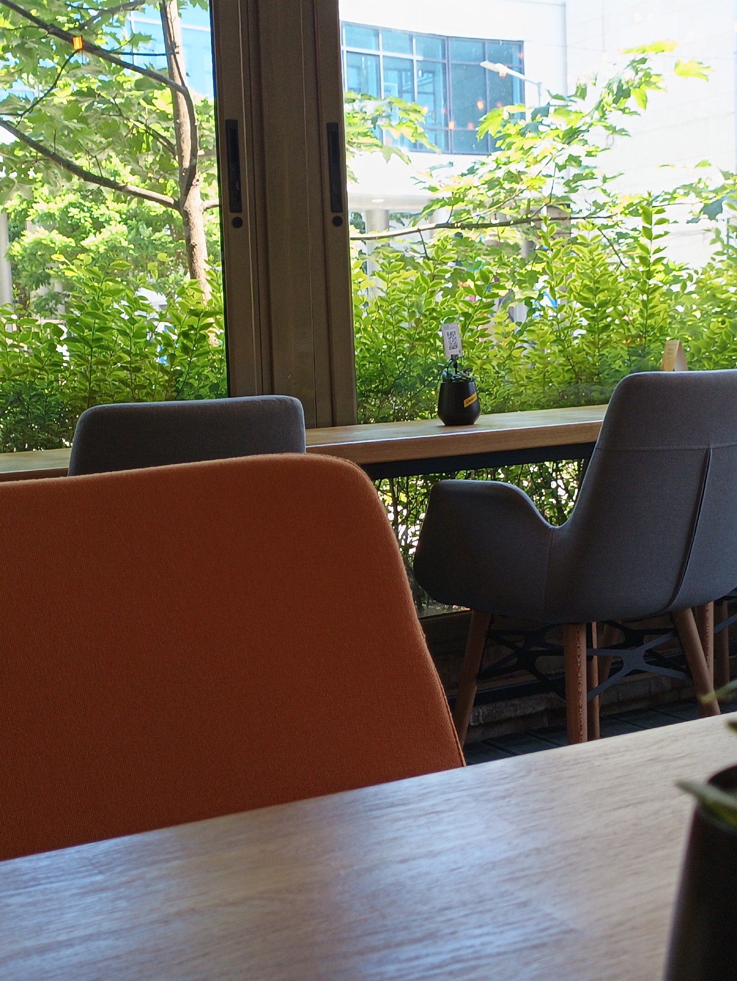 The image depicts the interior of a cafe or restaurant in Burgas, Bulgaria, looking out through a window or sliding glass door towards an outdoor green space and urban environment. In the foreground, a section of a light-colored wooden tabletop is visible across the bottom. To the left, the back of an orange upholstered chair occupies the lower-left quadrant. Behind this, a dark grey upholstered chair with wooden legs and a dark metal substructure is positioned at a light-colored wooden counter that spans the midground horizontally. On this counter, to the left of the grey chair, sits a small, dark potted plant with a white rectangular tag displaying a QR code and a yellow label, identifiable as "Schweppes".
Beyond the counter and through the transparent barrier, an outdoor scene is brightly illuminated by natural light. The immediate exterior showcases dense, vibrant green foliage comprising a low hedge and the lower branches of a larger tree. Further into the background, the trunk and upper branches of a mature tree are visible, their leaves providing a green canopy. To the right, a multi-story building with large, reflective blue-tinted windows can be seen through and above the foliage. A vertical beige-colored window or door frame, equipped with two dark, recessed handles, delineates the right edge of the interior view. No individuals are present in the scene.