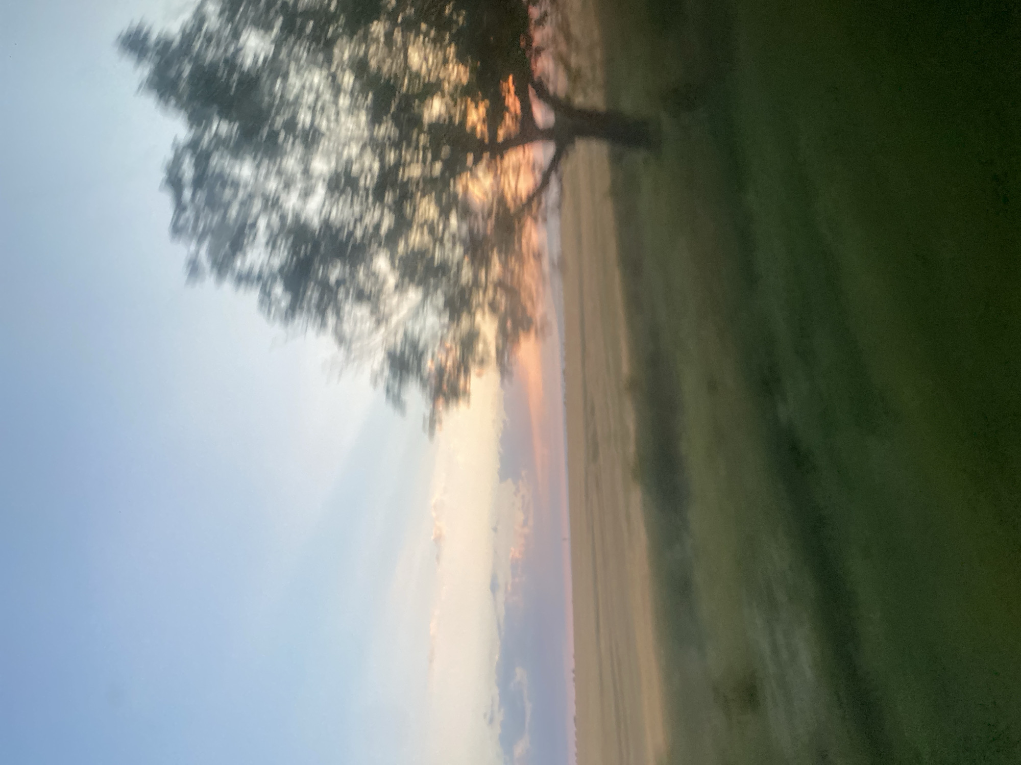 The image depicts a blurry landscape scene, likely captured while in motion. In the foreground, a dark green grassy area is visible, sloping upwards and to the left. Beyond this, a field of lighter, golden-brown vegetation stretches horizontally. A single tree, heavily blurred, stands in the middle ground to the right, its branches indistinct against the sky. The sky transitions from a pale blue at the top to soft hues of pink and orange near the horizon, suggesting either sunrise or sunset. Wispy clouds are scattered across the sky. The overall impression is one of a rural setting in Novosiolovca, Moldova, characterized by open fields and a solitary tree under a colorful sky.