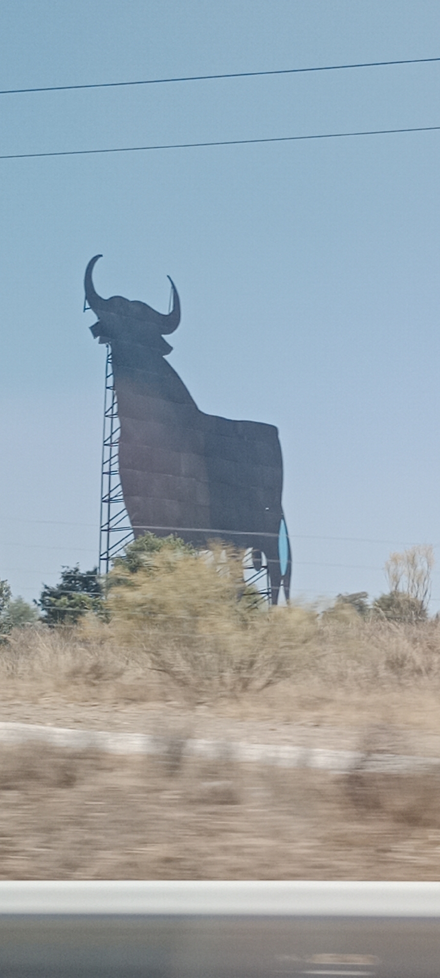 An enormous, dark silhouette of a bull, a landmark of Cabanillas de la Sierra, Spain, stands against a clear, pale blue sky. The bull is perched atop a tall, lattice-like metal tower. The bull's body is a flat, dark surface, with large, curved horns clearly visible at the top of its head. Its head is raised, and its mouth appears open. To the right of the bull's body, a large, oval, light blue shape is visible, possibly representing an eye or a decorative element.
The base of the structure is surrounded by dry, scrubby vegetation and a few trees. The foreground shows a blurred impression of a road and its white divider, indicating the photograph was taken from a moving vehicle. The overall scene is bathed in bright daylight, suggesting an outdoor, rural setting within or near the city.