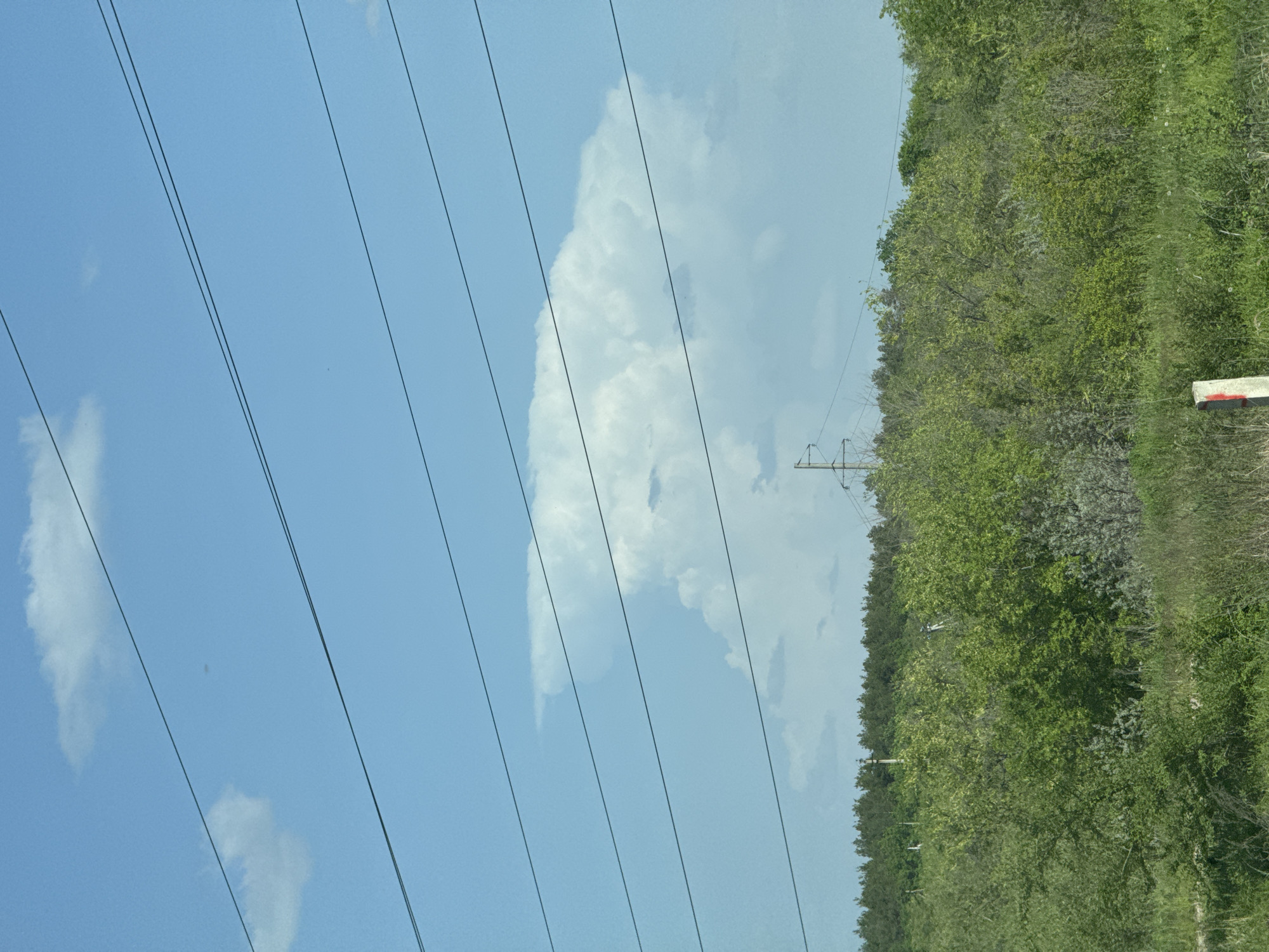 The image shows a rural scene, likely taken from a moving vehicle. Power lines stretch diagonally across the left side of the frame against a blue sky with scattered clouds. On the right side, dense green foliage and trees line the edge of the road. A power pole is visible amongst the trees. A white and red reflector pole is partially visible on the right. The location is Pribrezhnyi, Russia. No people or distinct objects are visible.