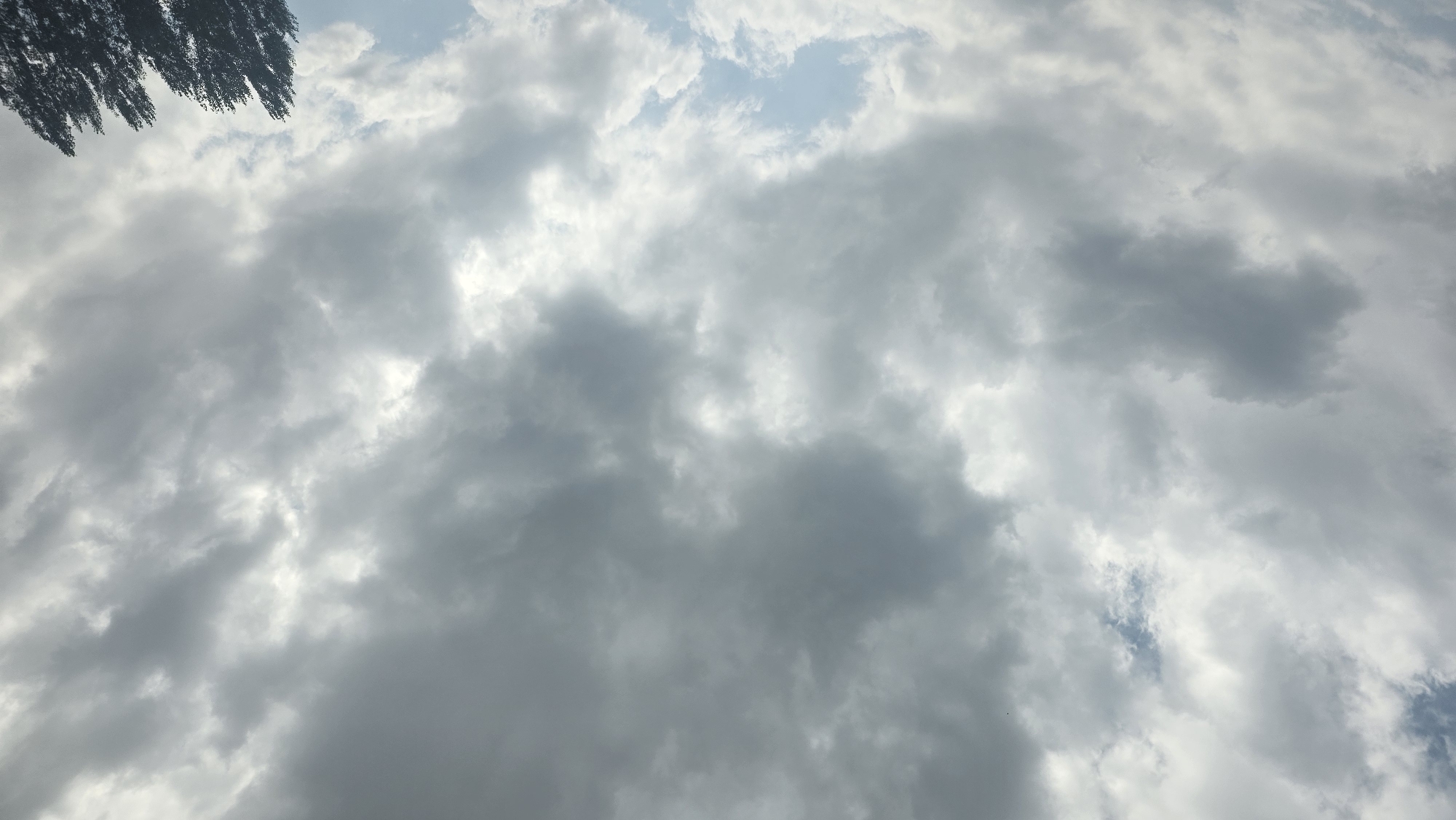 The image depicts a sky filled with dense, grey clouds, suggesting overcast weather conditions. Patches of pale blue sky are visible through breaks in the clouds. In the lower right corner, the dark silhouettes of a cluster of tall trees are visible against the lighter sky. The scene is a natural landscape, likely an outdoor environment. There is no indication of the city of Taldyk, Kyrgyzstan within the image itself, as the content is solely focused on the sky and trees. There are no people, actions, or interactions visible.