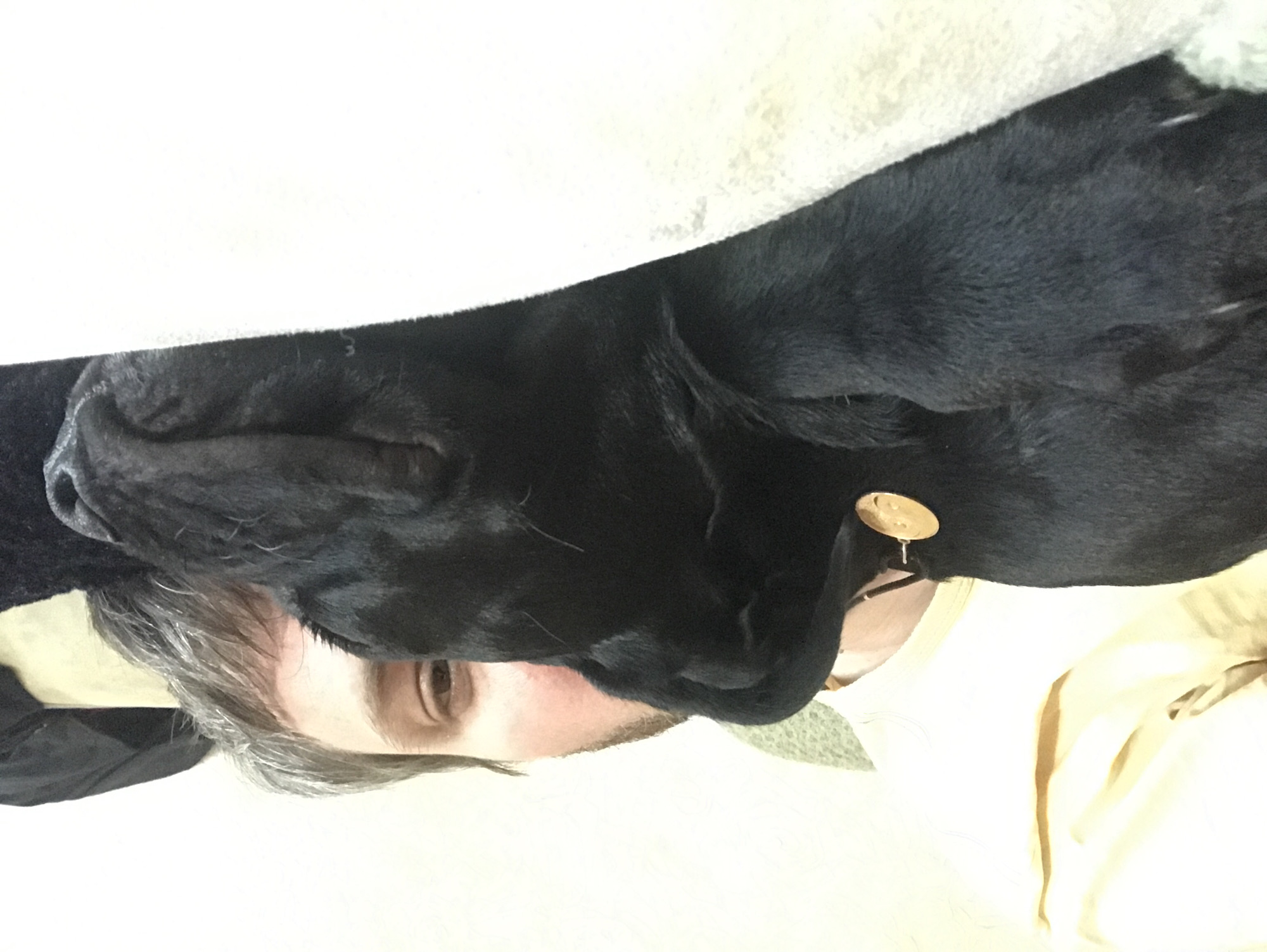 A close-up, rotated image shows a light-skinned person with graying hair and brown eyes lying with a black Labrador Retriever. The dog's head rests on the person's face. A light-colored blanket or cloth covers the top portion of the image. The person wears a light yellow or cream-colored shirt. A gold earring is visible on the person's ear. The image does not contain any information suggesting that it was taken in Kharkiv, Ukraine.