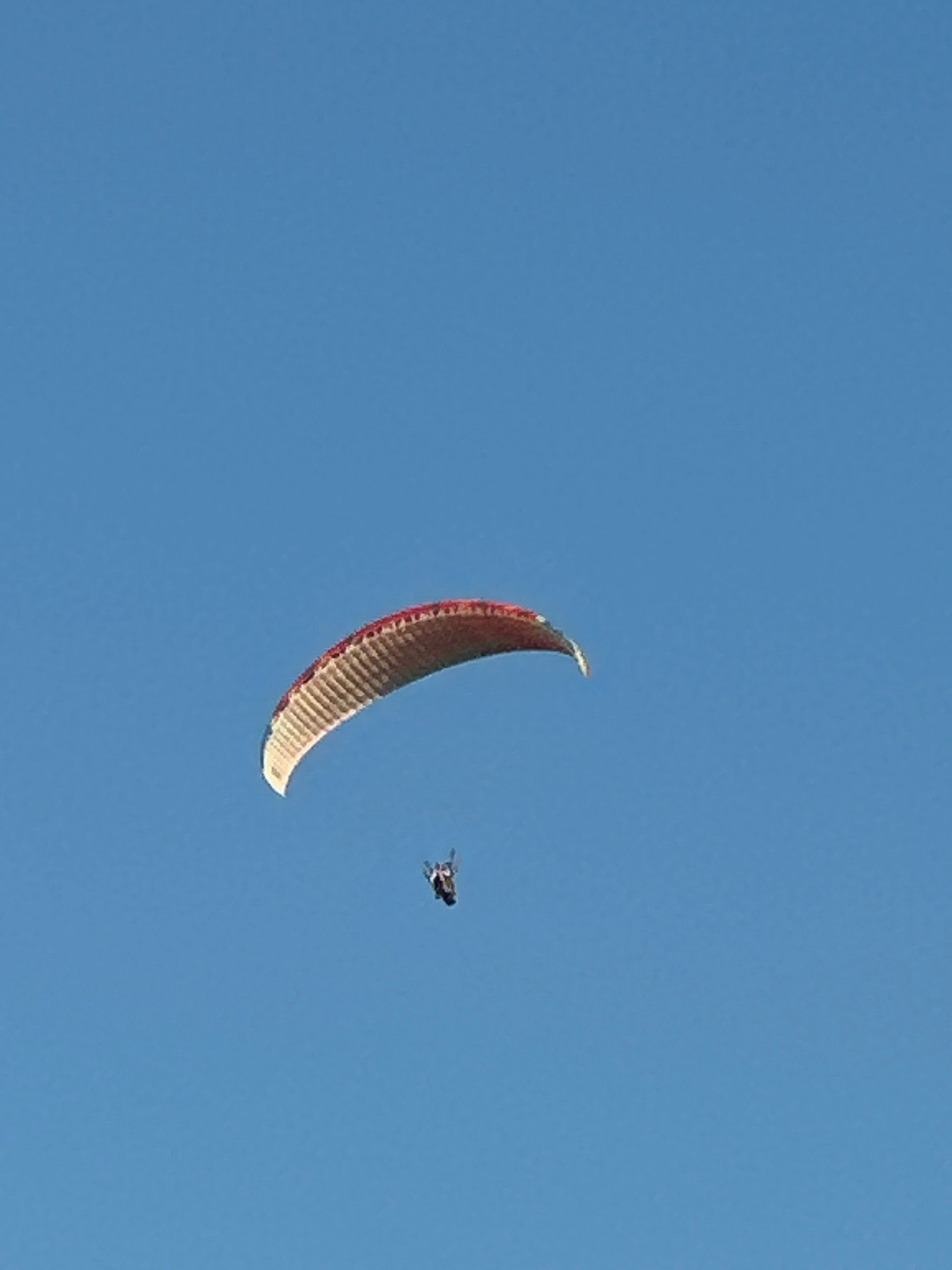 A paraglider is suspended in a clear blue sky. The paraglider's wing is a vibrant orange and white, with a curved, elongated shape. Below the wing, a person in dark clothing is seated in a harness, their body angled slightly forward. The scene appears to be taking place on a sunny day, with no other discernible objects or features in the sky. There is no indication of the specific location within Boreti, Montenegro, or any surrounding city elements.