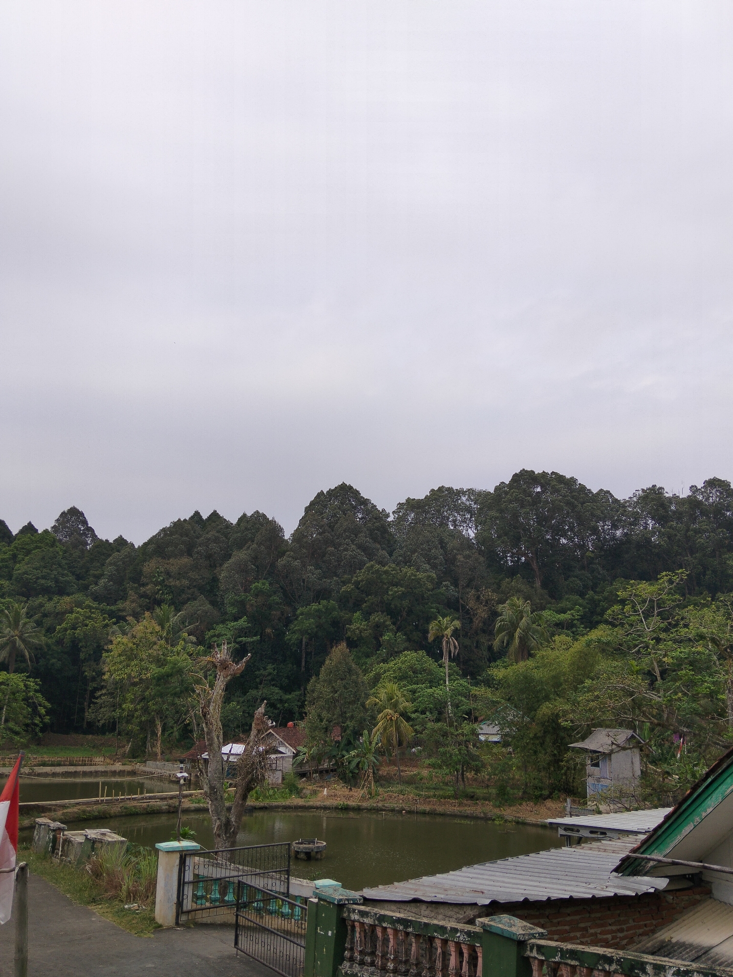 The image depicts an overcast day in Cisaga, Indonesia, with a focus on a natural landscape featuring a body of water, lush vegetation, and some human-made structures. The foreground shows a paved pathway bordering a fence, with a small red and white flag partially visible on the left. Beyond the fence, a calm, greenish body of water, likely a pond or lake, occupies the mid-ground. Several small buildings are situated near the water's edge, including one with a red roof and another small, dilapidated grey structure. A prominent, bare, dead tree stands in the water, its branches stark against the cloudy sky. The background is dominated by a dense forest of varied green trees that form a hillside. The overall impression is one of a rural or semi-rural setting, with elements of nature coexisting with simple human habitation.