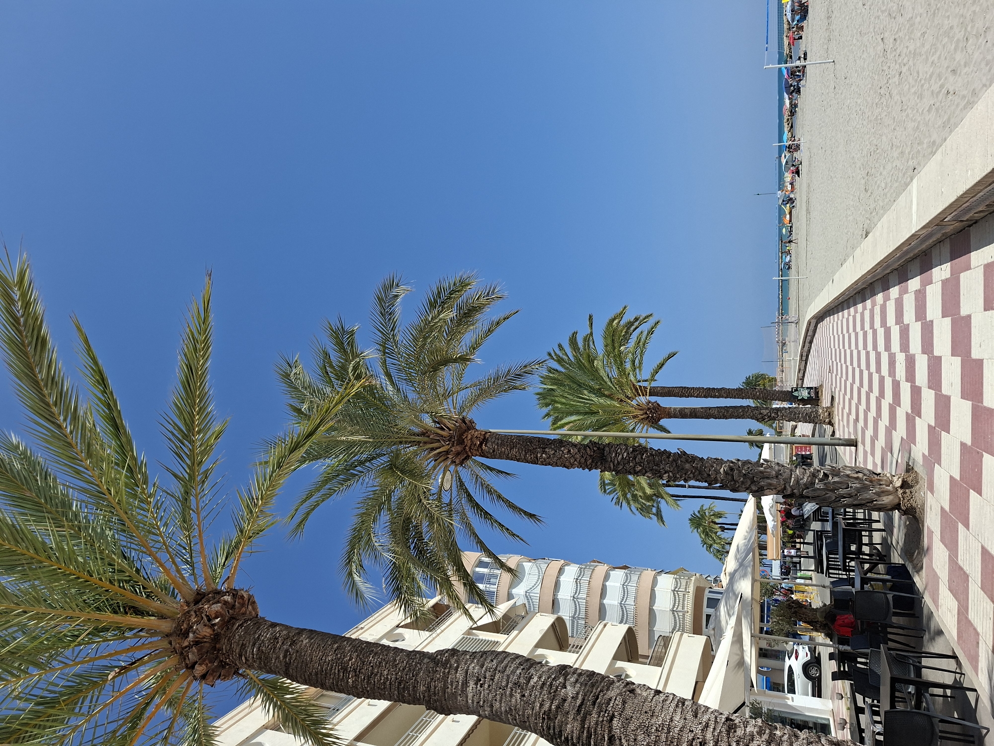 The image depicts a sunny day on a beach promenade in Santa Pola, Spain. In the foreground, a checkered tiled pathway runs alongside a row of outdoor dining tables and umbrellas belonging to a restaurant. Several palm trees line the promenade, casting shadows on the pavement. To the left, a multi-story building with balconies and light-colored facade is visible. Beyond the promenade, a sandy beach is dotted with numerous beachgoers, umbrellas, and several beach volleyball nets. The sea is calm and stretches to the horizon under a clear blue sky. A white car is parked on the street in front of the restaurant. The scene suggests a typical summer day at a coastal resort town.