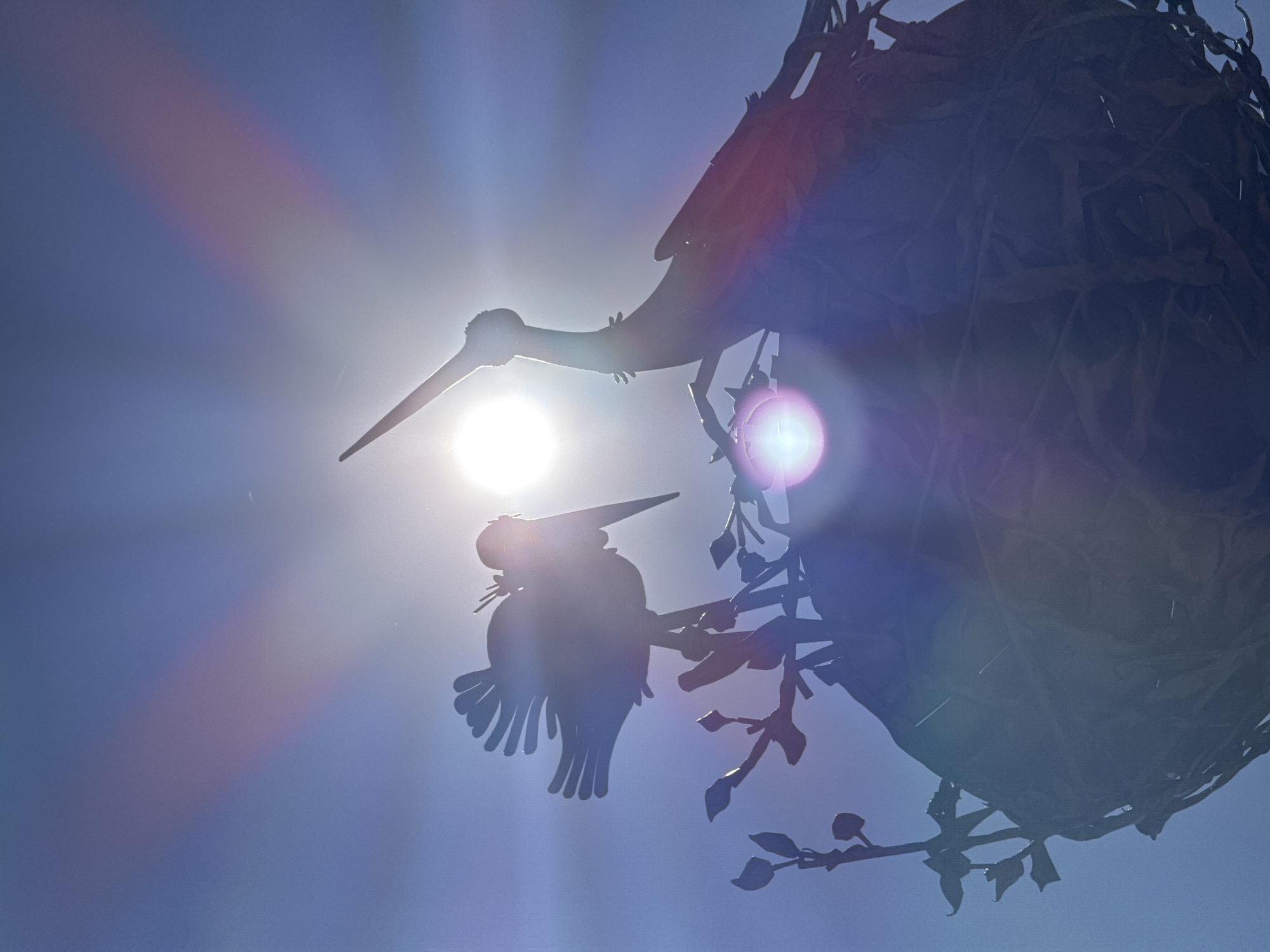 The image shows a low-angle view of metal bird sculptures against a bright, sunlit sky. One sculpture is a large bird with a long beak, while another appears to be a smaller bird with its wings spread. The sculptures are part of a larger structure that includes a nest-like form made of metal. Based on the presence of metal bird sculptures and the location in Vsevolozhsk, Russia, as indicated in the prompt, this might be a piece of public art or a decorative element in a park or garden.