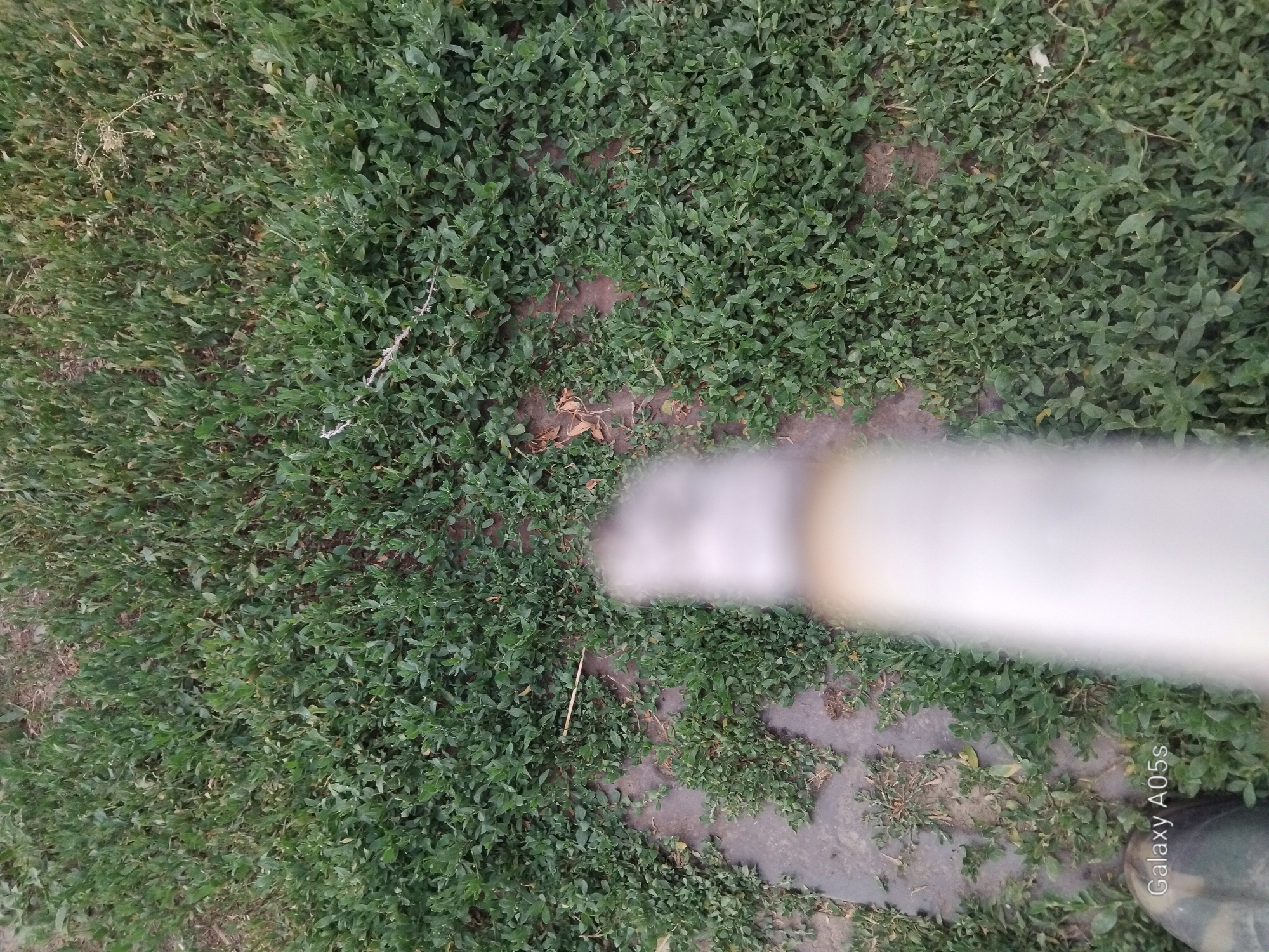The image shows a blurred object, possibly a cigarette, in the foreground, against a background of green grass and dirt. A portion of a person's foot wearing a dark boot is visible in the bottom left corner. The text "Galaxy A05s" is superimposed on the boot. The scene appears to be outdoors, with no specific urban features identifiable to suggest a location in Druzhba, Russia.
