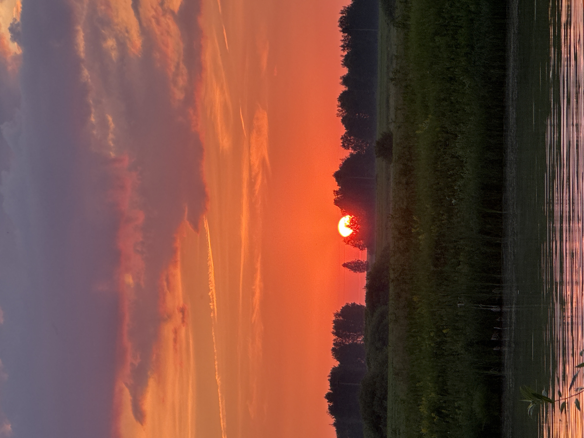 This is a vertical, medium shot image of a sunset over a rural landscape in the city of Bigila, Russia. The sun is a bright, glowing orb just above the horizon, partially obscured by trees and foliage. The sky is a vibrant gradient of orange and red, with scattered clouds tinged with purple and pink. In the foreground, a body of water reflects the colors of the sunset, with ripples distorting the reflection. The middle ground features a dense line of dark green trees against a backdrop of lighter green fields. The overall atmosphere is tranquil and serene, capturing the natural beauty of the Russian countryside at dusk.