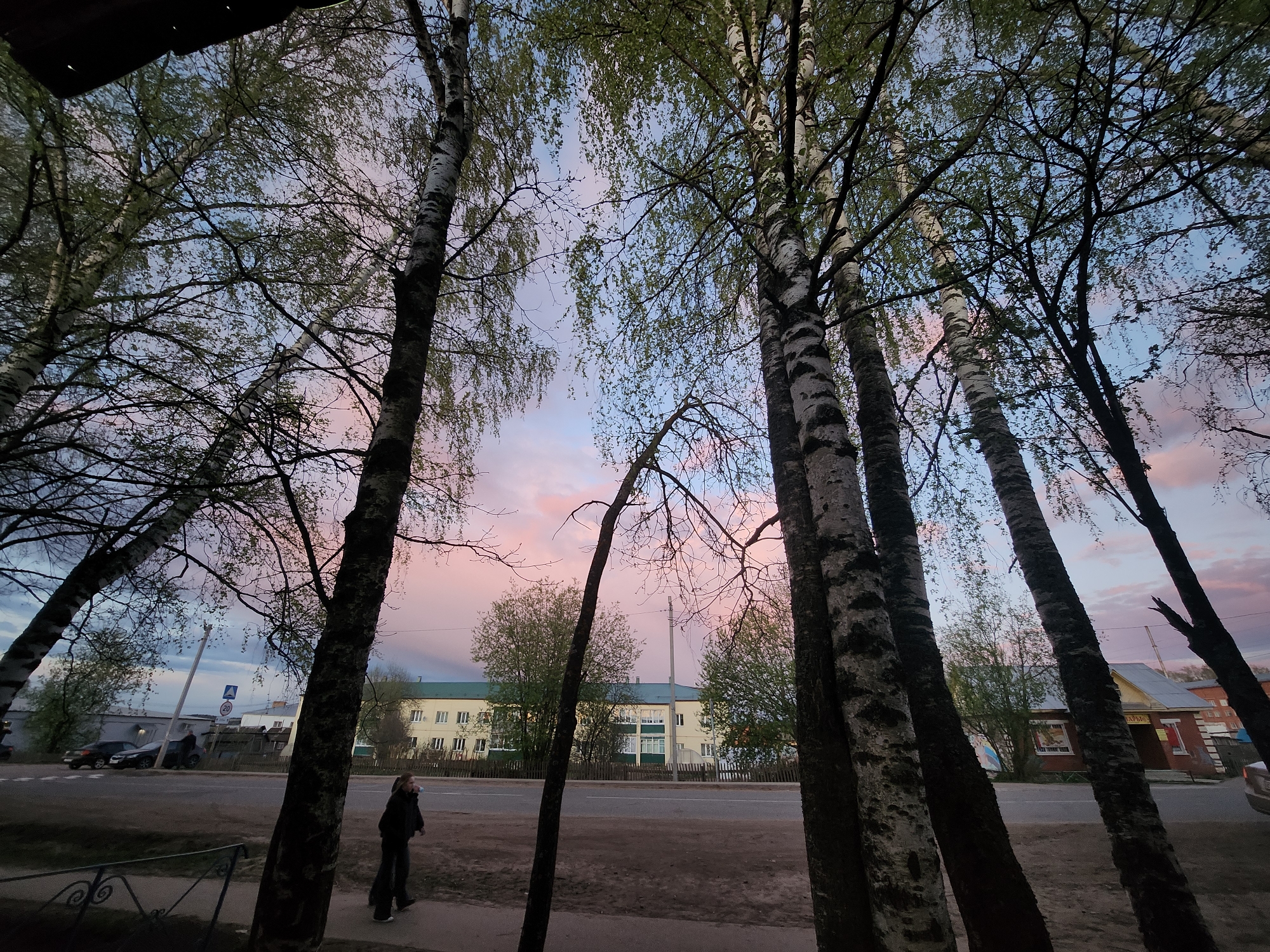 The image shows a street scene in Krasnogorskoye, Russia, at dusk. The sky is a mix of blue and pink. Several tall birch trees frame the view. On the left, a person is walking on the sidewalk. Across the street, there is a large, three-story building with a light yellow facade and a green roof. Several cars are parked nearby, and a road sign is visible. The ground is dirt and grass.