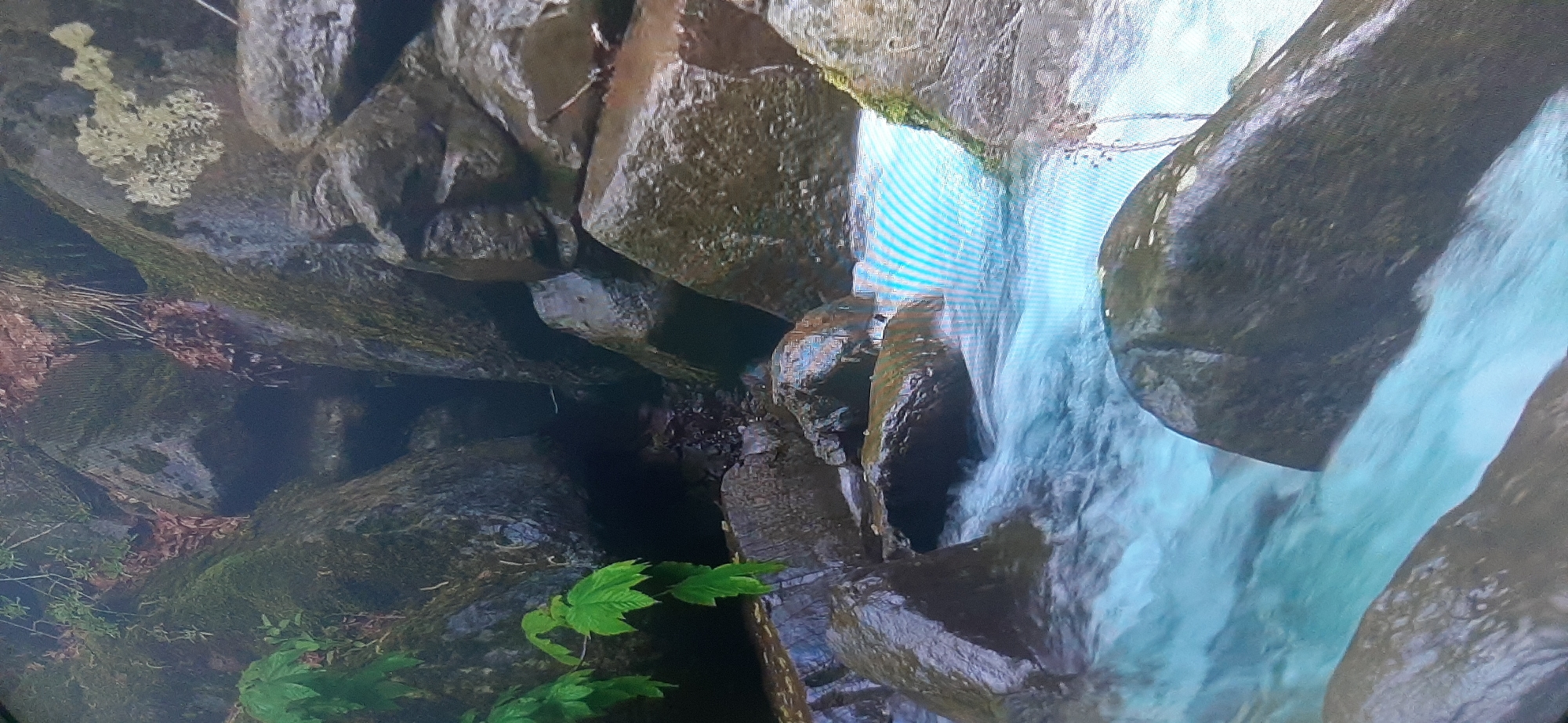 The image depicts a rocky stream flowing through a narrow gorge. Large, moss-covered boulders dominate the scene, with some greenery visible on the left side, including hanging leaves. The water is turbulent and has a turquoise hue, indicating a fast current. The overall environment appears natural and somewhat wild. There are no people or man-made structures visible in the image. The context of Balashikha, Russia, is not discernible from the visual elements of the photograph itself.