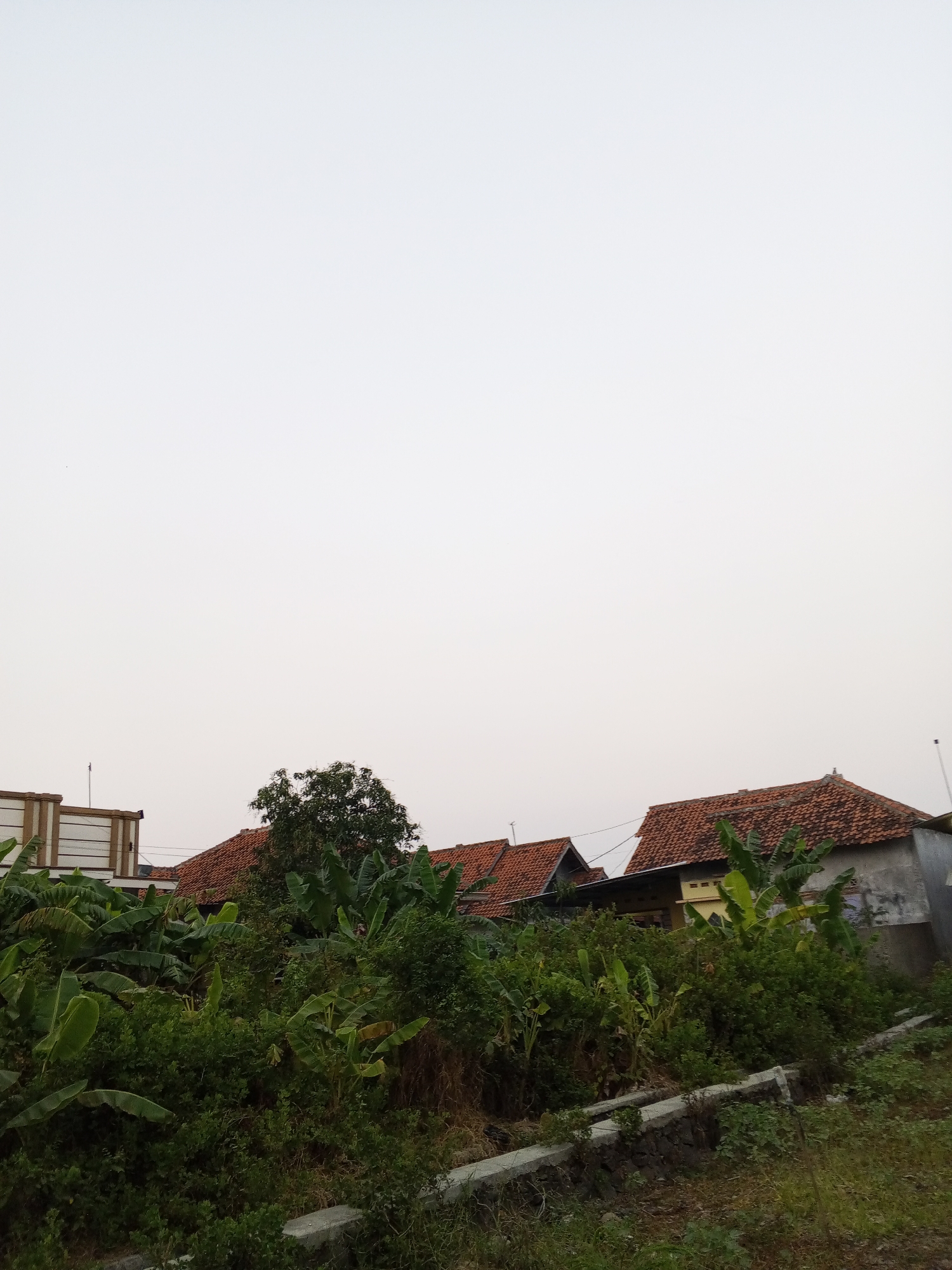 The image shows a residential area in Gebang, Indonesia. In the foreground, lush green vegetation, including banana plants, dominates the scene. Beyond the foliage, several houses with red tile roofs are visible. The sky is overcast, suggesting a diffused light condition. The architecture of the houses appears typical of Indonesian residential buildings. The overall impression is that of a somewhat overgrown and densely vegetated neighborhood.