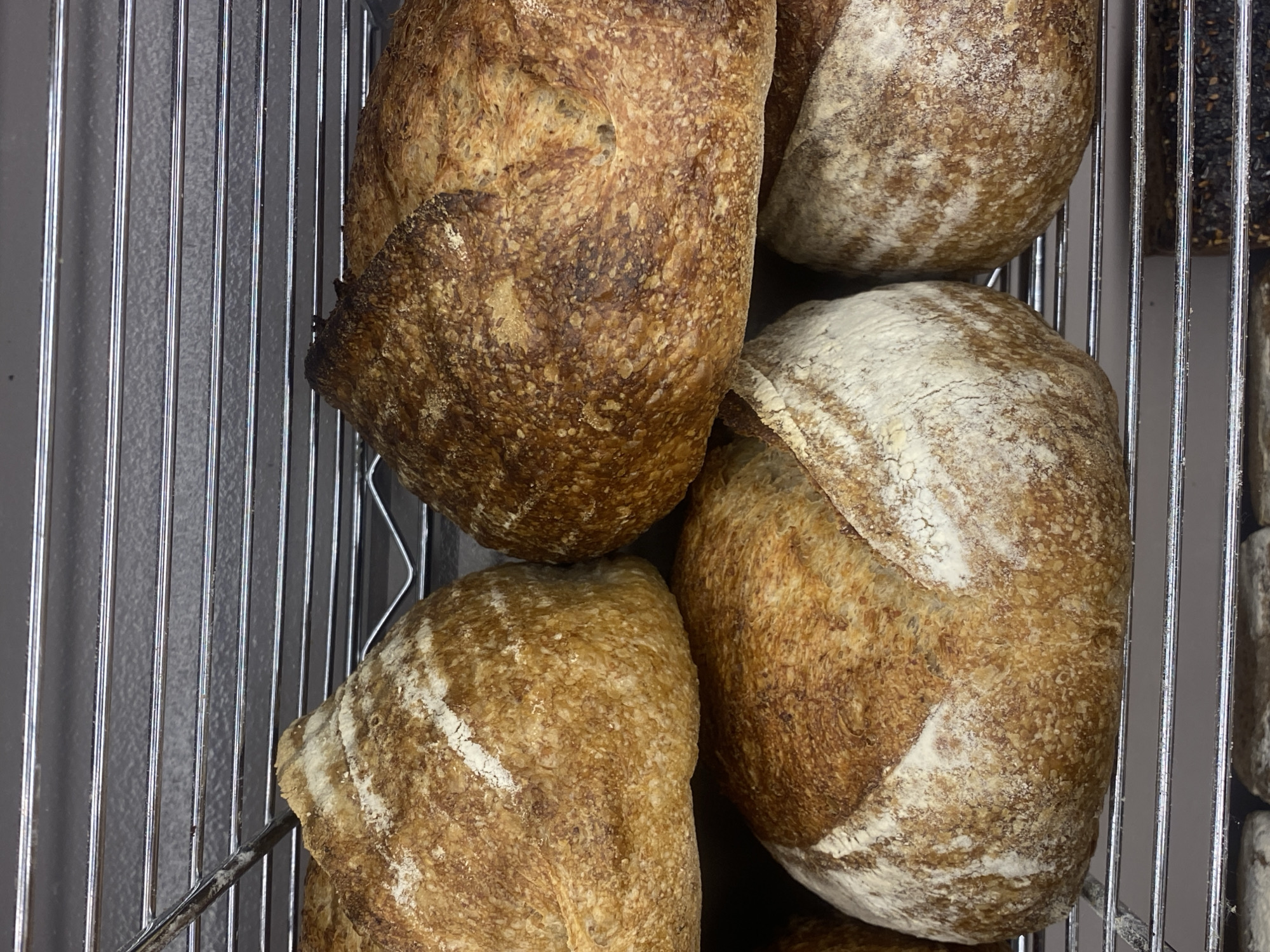 The image shows several loaves of sourdough bread on metal racks. The bread has a rustic appearance with a golden-brown crust and flour dusting. The racks are typical of a bakery or commercial kitchen setting. The background is out of focus, but appears to be a grey wall. There is no indication of the specific location within Warsaw, Poland.
