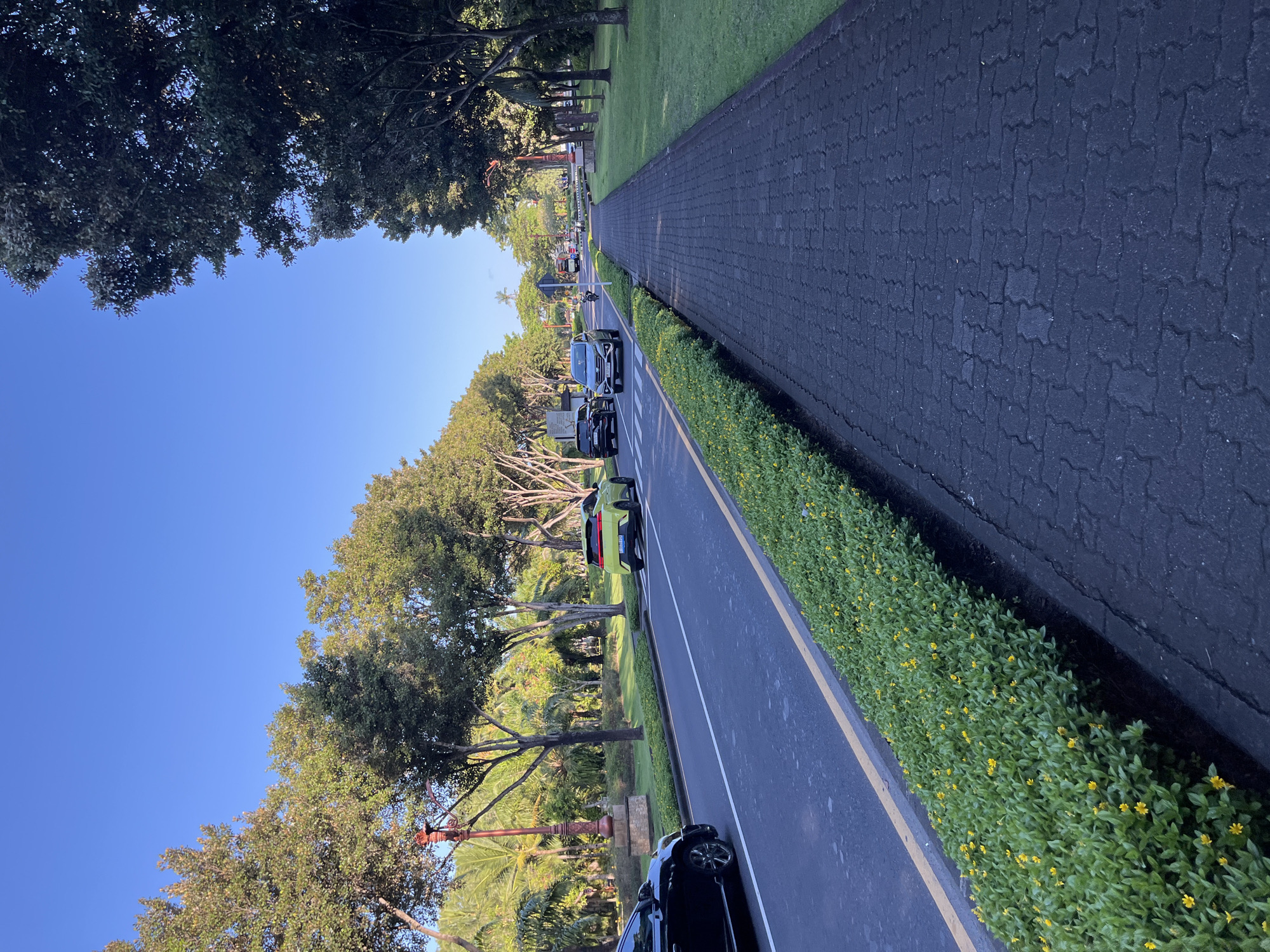 A road winds through a landscape in Unknown, Indonesia. Flanked by greenery and trees, it presents a scene of urban nature with cars parked and traveling along it. The sky above is clear and blue, suggesting a sunny day.