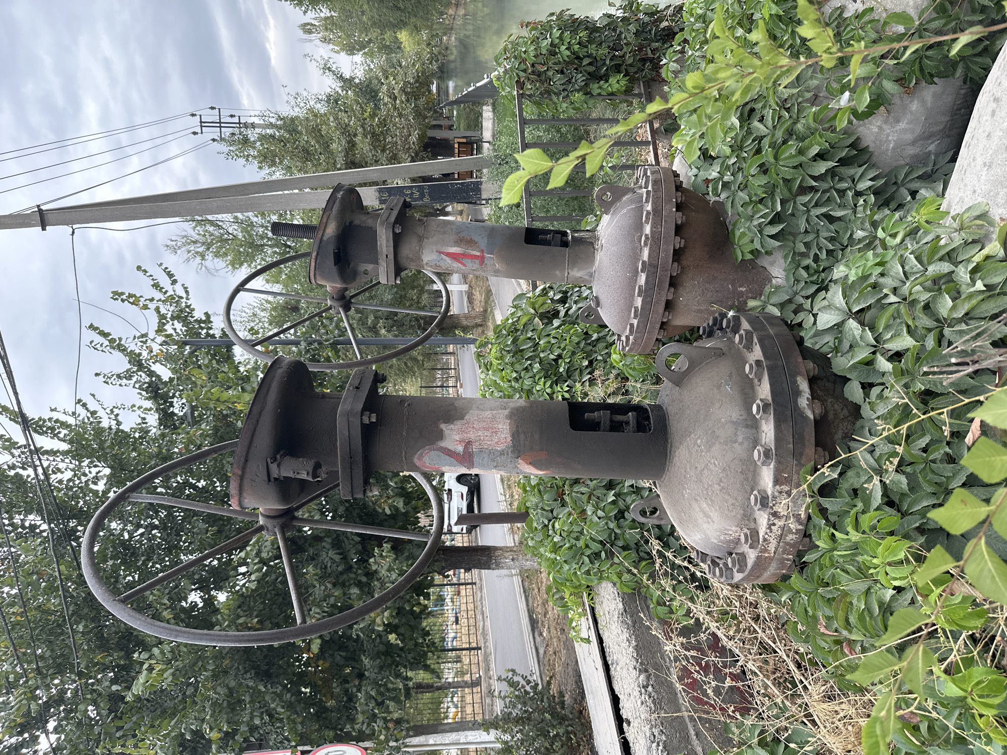 Two large, industrial valves with handwheels are situated outdoors amongst lush green foliage. The valves are made of dark metal and show signs of age and use, with visible rust and wear. One valve has a red number "2" painted on its vertical section, and the other has a red number "1". They appear to be part of an outdoor water system or irrigation infrastructure. In the background, a road with a white car is visible, along with trees and a cloudy sky. A body of water, likely a canal or river, is present to the right of the valves. The scene is set in an urban environment, suggested by the road, power lines, and the presence of a fence and street sign in the distance. This scene is located in Bishkek City, Kyrgyzstan, specifically near the Botanical Garden.