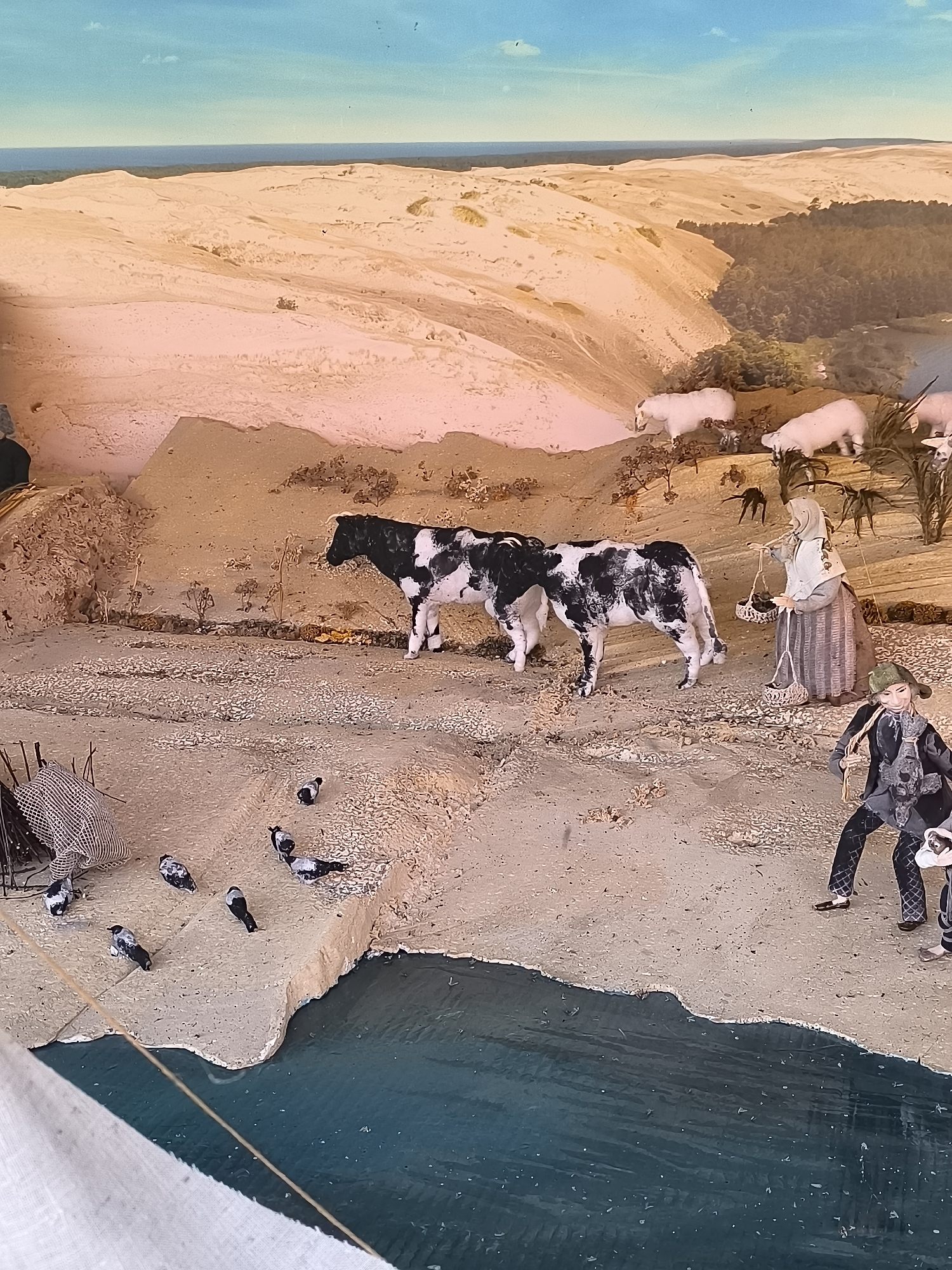 The diorama depicts a pastoral scene set against a backdrop of sand dunes and a body of water. In the foreground, several black and white birds are scattered on a sandy bank. Further back, two black and white cows stand on the sand. To the right, a figure dressed in historical clothing, possibly a woman, carries baskets suspended from a yoke. Adjacent to her, a figure in a dark suit and green hat appears to be tending to something, possibly a small animal held in their arms. In the middle ground, several white sheep are grazing amongst sparse vegetation. The overall environment suggests a rural or coastal setting, possibly a historical representation of life in Neringa, Lithuania, known for its sand dunes and coastal landscape. The sky above is a clear blue with a few faint clouds.