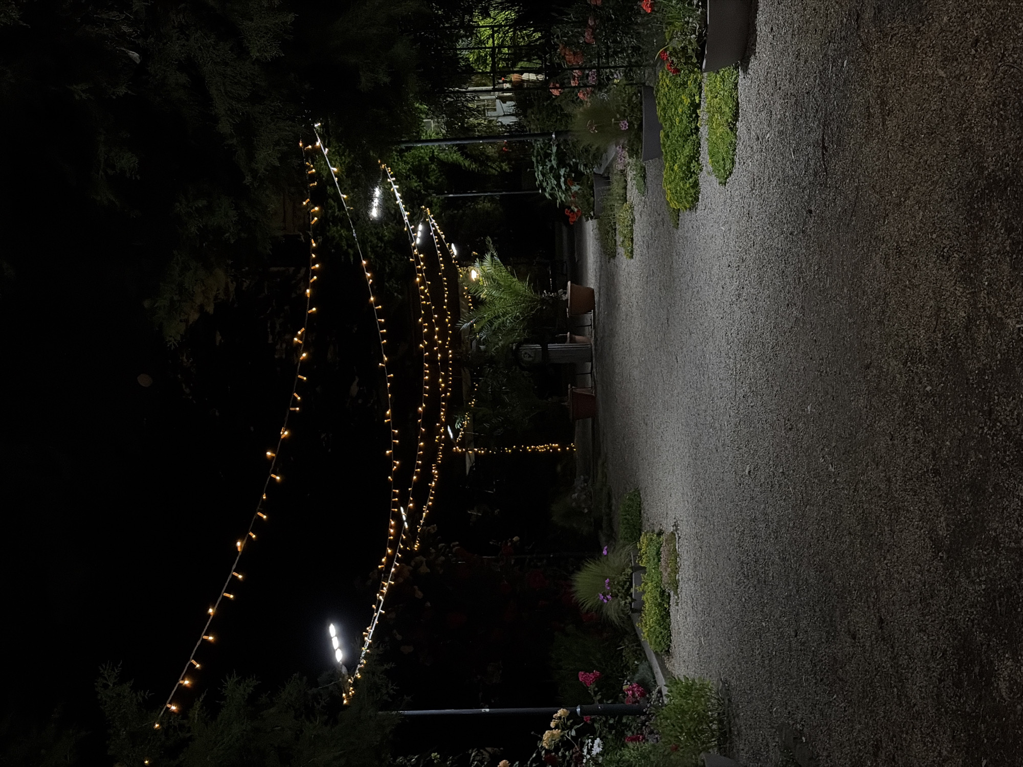 This image depicts a nighttime scene of a decorated outdoor garden pathway, identified as being in Sofia, Bulgaria. The central feature is a wide, light-grey gravel path extending into the background, flanked on both sides by dense vegetation. Overhead, multiple strands of small, warm-toned string lights are strung across the pathway, creating a series of illuminated arches.
On the left side of the path, a tall, dark pole supports a rectangular, bright white LED luminaire, casting light downwards. Below it, various shrubs, potted plants, and flower beds with visible blooms in shades of pink, white, and yellow are arranged along the path's edge. Further down the left side, another potted plant with what appears to be a palm-like foliage is visible next to a dark, possibly decorative, structure.
The right side of the path also features dense dark foliage, including tall trees and shrubs, along with flower beds containing red and green plants. Another bright white LED luminaire is visible further down the path on the right. Potted plants are strategically placed along the edges of the gravel path.
The sky above is completely dark, indicating a clear night. There are no individuals, animals, or discernible actions occurring within the frame. The scene is static, illuminated by artificial light sources.