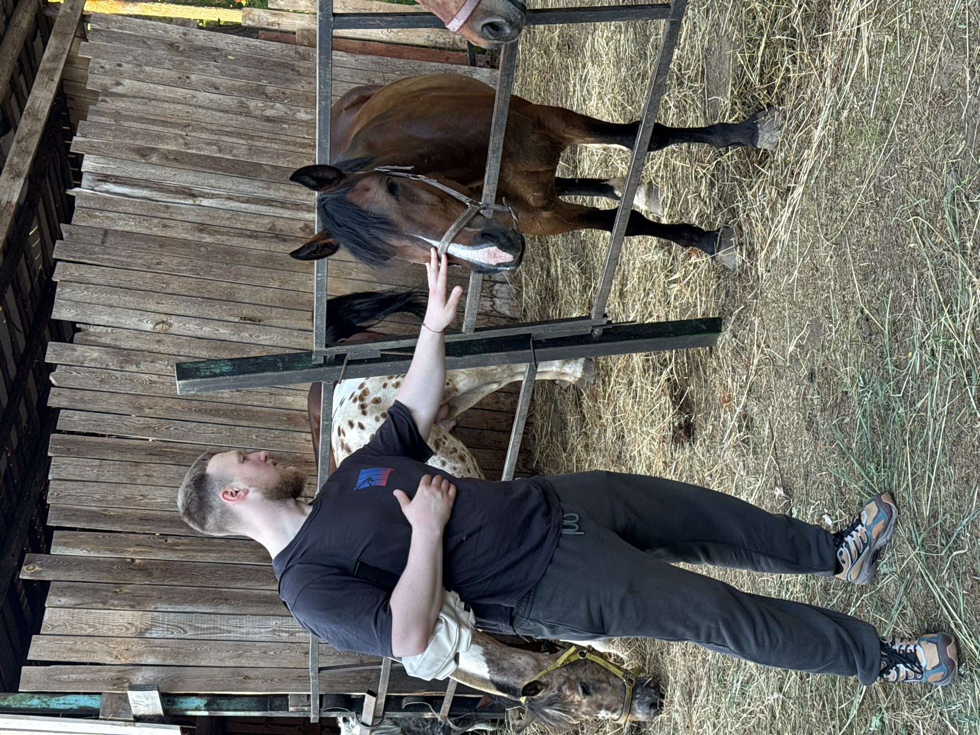 In the city of Chaikovsky, Russia, a person stands near a stable with several horses. The person, a man with a beard and short hair, is wearing a black t-shirt, dark sweatpants, and multi-colored athletic shoes. A light-colored crossbody bag is slung over his left shoulder. He is reaching out with his right hand to gently touch the nose of a brown horse standing behind a metal fence. The horse is wearing a bridle.
Behind the man, another horse with a spotted coat is visible. In the foreground, another horse's head is visible, also wearing a yellow halter. The ground is covered in hay and straw, indicative of a stable or paddock environment. The background features a wooden fence and what appears to be the roof of a structure, suggesting a rural or semi-rural setting. The lighting suggests it is daytime, possibly late afternoon due to the warm tones.