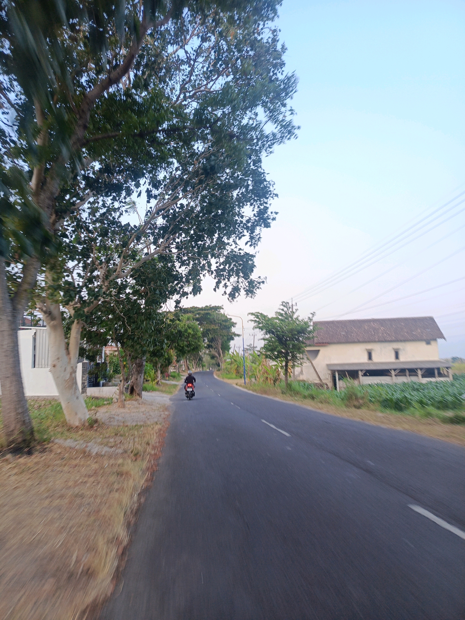 This image captures a scene on a paved road in the city of Nitikan, Indonesia. The road runs through a rural or semi-rural area, bordered by vegetation and trees on the left and fields and a building on the right. A person is riding a red motorcycle in the distance on the right side of the road, heading away from the camera. The sky is clear and light blue, suggesting daytime. The overall impression is one of a quiet, open road in a tropical or subtropical climate.