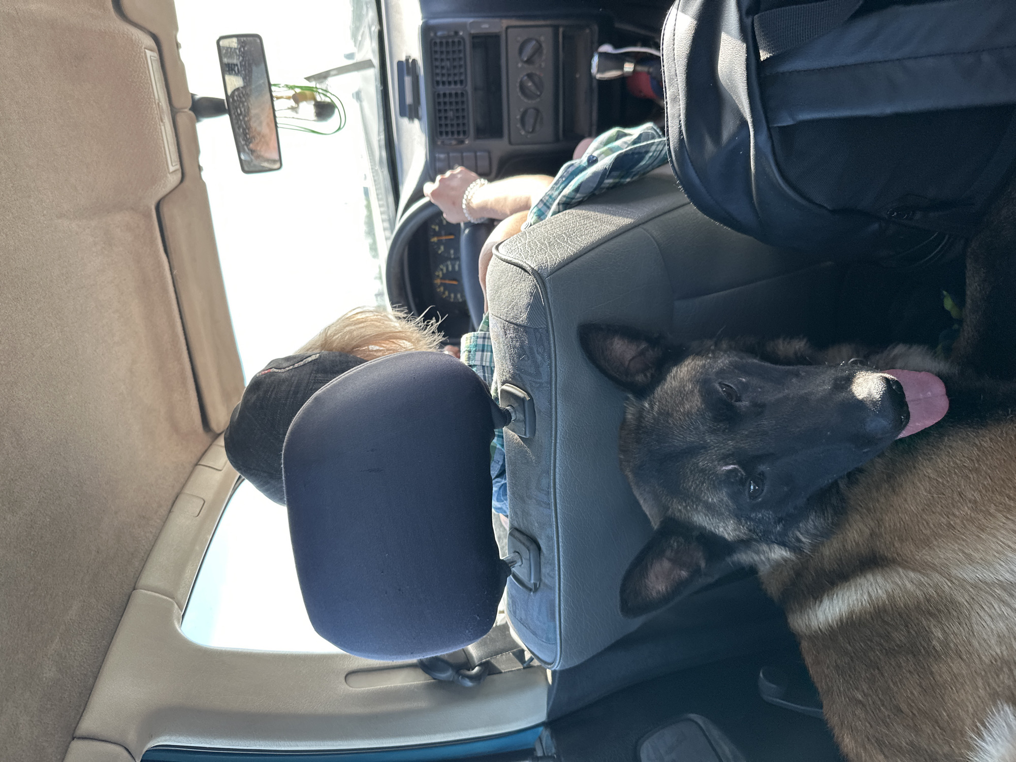 The interior of a vehicle is shown, with the driver partially visible in the front. The vehicle appears to be in motion. A dog, possibly a Belgian Malinois, is in the back seat with its head resting on the passenger seat. A person with blonde hair and a baseball cap is in the back seat. A black backpack sits in the back as well. The dashboard is visible in front of the driver. There is no information to indicate that this photo was taken in Pavlo-Ochakovo, Russia.