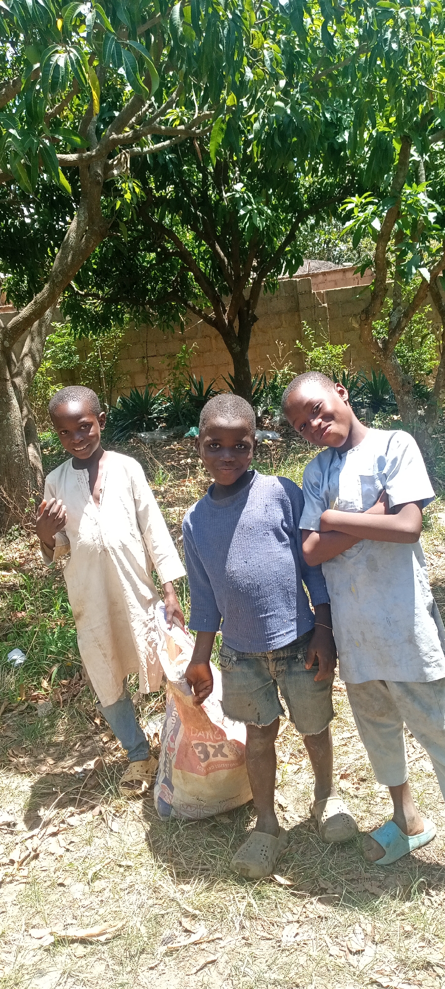 Three boys stand outside in a grassy area shaded by trees, with a brick wall visible in the background. The boy on the left wears a light-colored, long-sleeved garment and jeans with sandals. The boy in the center wears a blue long-sleeved shirt and denim shorts and sandals. The boy on the right wears a light-colored long-sleeved garment and blue sandals, with his arms crossed. The boy in the center is holding a bag labeled "DANGOTE 3X PORTLAND LIMESTONE CEMENT." The location is Jos, Nigeria.