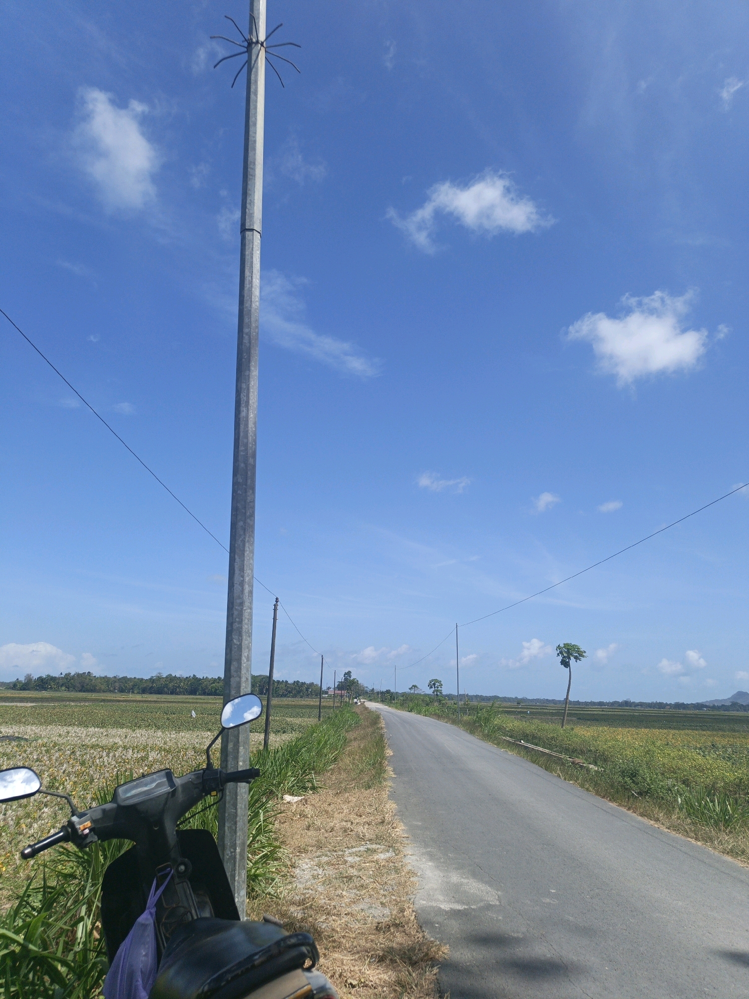 A clear, bright sky with scattered white clouds stretches over a rural landscape in Kamulyan, Indonesia. A paved road runs through the scene, flanked by dry, yellowing grass and green foliage. On the left side of the road, a black motorcycle is parked. Its mirrors reflect the sky, and a purple bag hangs from its handlebars. A tall, grey metal pole with what appears to be antenna-like structures at the top stands prominently beside the road, close to the motorcycle. Beyond the roadside vegetation, vast fields of crops, likely rice paddies given the location, extend into the distance. A solitary, thin tree with a windswept crown stands in one of the fields further down the road. The overall atmosphere is serene and sunny, characteristic of a rural Indonesian countryside.