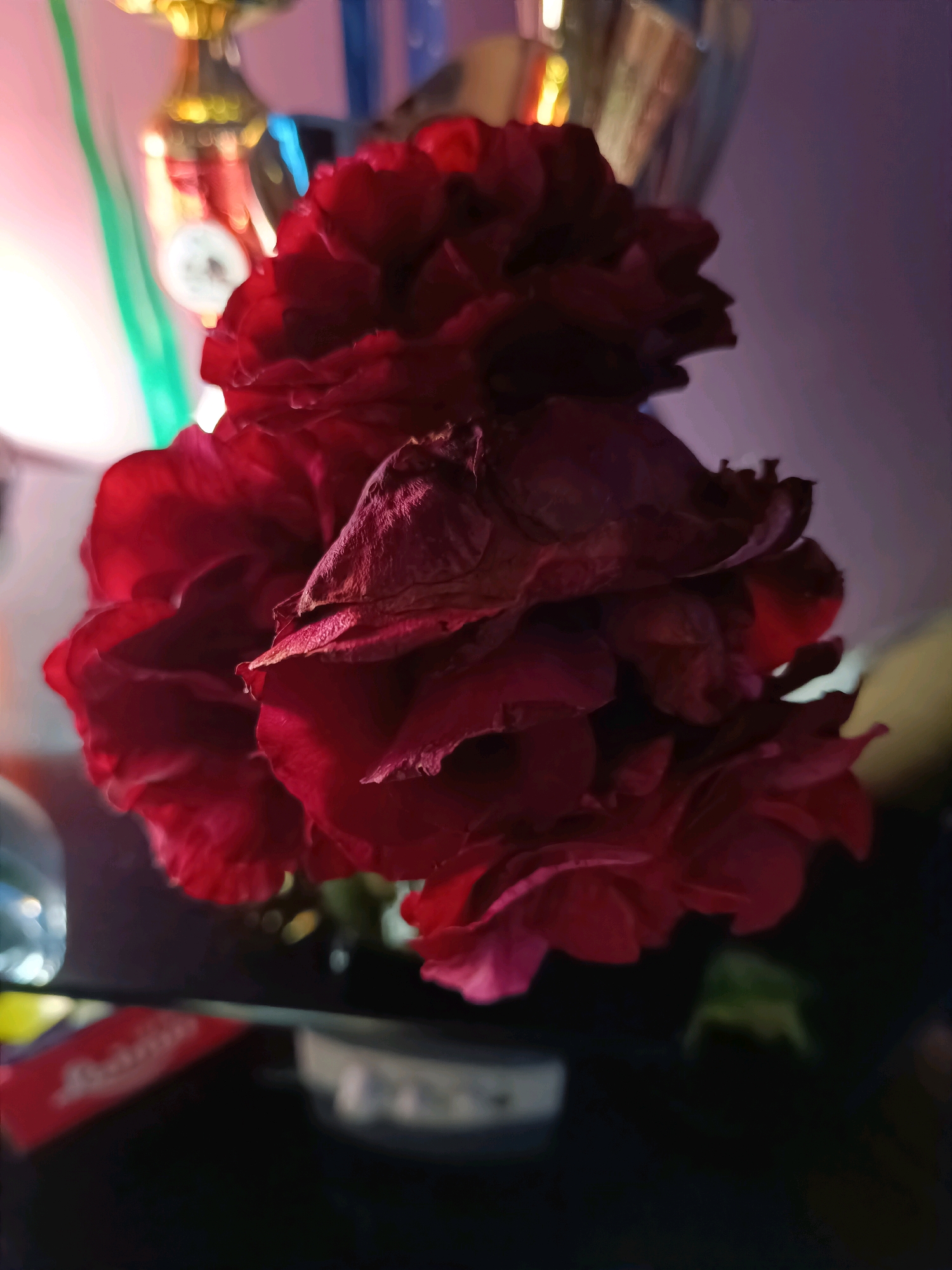 The image is a close-up, low-angle shot of a bunch of red flowers with some wilting petals, possibly roses. The flowers are the primary subject and are dark red, with visible veins and some browning on the edges of the petals. The lighting is dramatic, with a mix of warm and cool tones, creating shadows and highlights that emphasize the texture of the flowers. In the background, out of focus, there are hints of colorful objects, possibly trophies or decorative items, illuminated by a warm light source on the left and a cooler, purple light on the right. The flowers appear to be sitting on a dark, reflective surface, possibly a table, where a blurry red object, resembling a wrapper or label, is visible on the left. The overall impression is one of intimate study of the floral subject, with a slightly moody and artistic ambiance. The image does not contain any identifiable elements that would suggest a specific location in Tebras, Latvia.