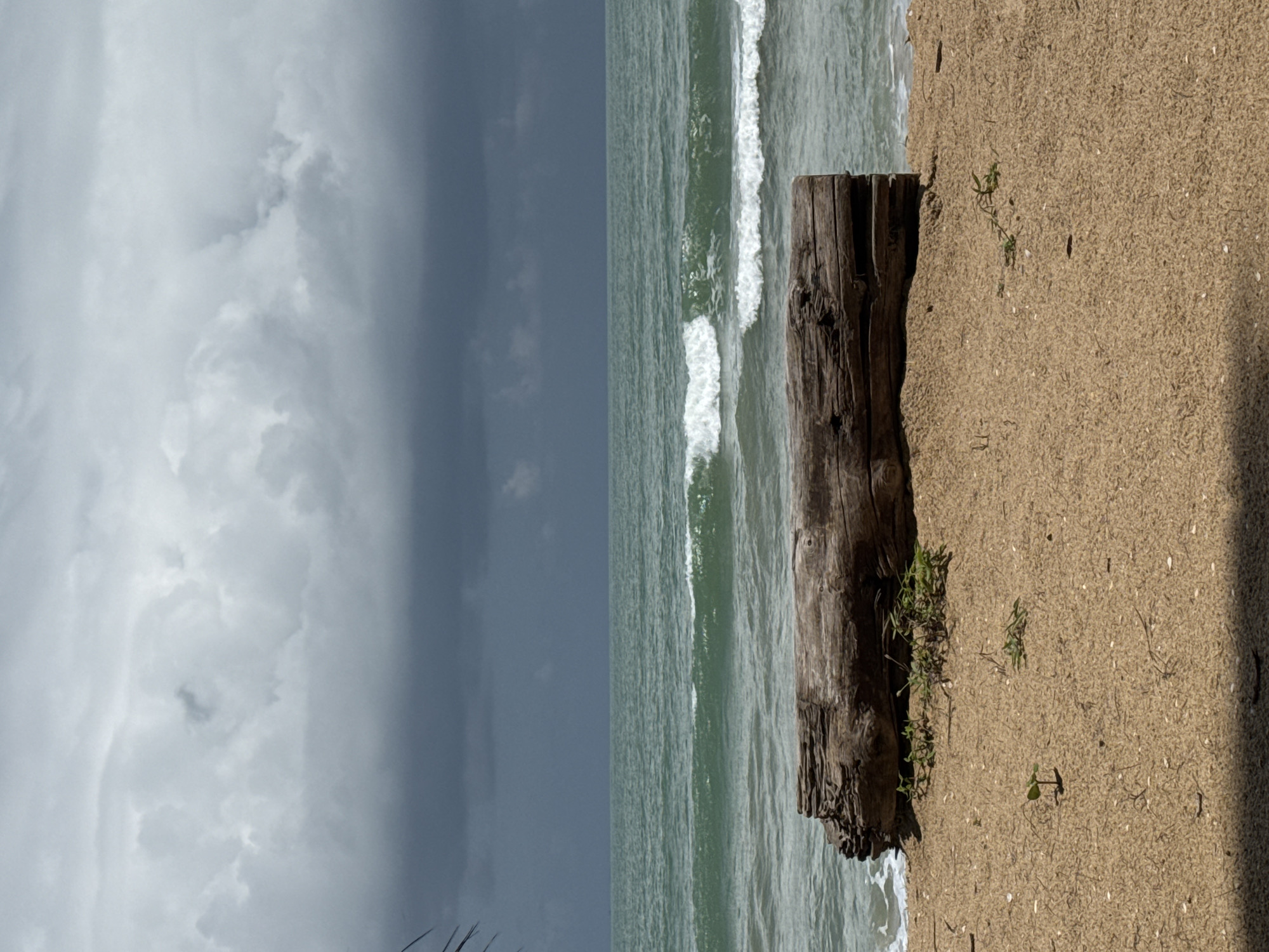 A wide-angle, eye-level shot depicts a tranquil beach scene in Ban Khuk Khak, Thailand. A large, weathered log rests horizontally on the tan sand in the foreground. The ocean stretches out behind the log, its turquoise water rippling with gentle white-capped waves. A dramatic, dark gray cloud bank hangs low in the sky, obscuring the sun and casting a somber mood over the scene. The beach is sparsely vegetated, with a few small green plants growing near the log and a single seedling sprouting in the sand. The overall atmosphere is one of natural beauty and impending weather change.