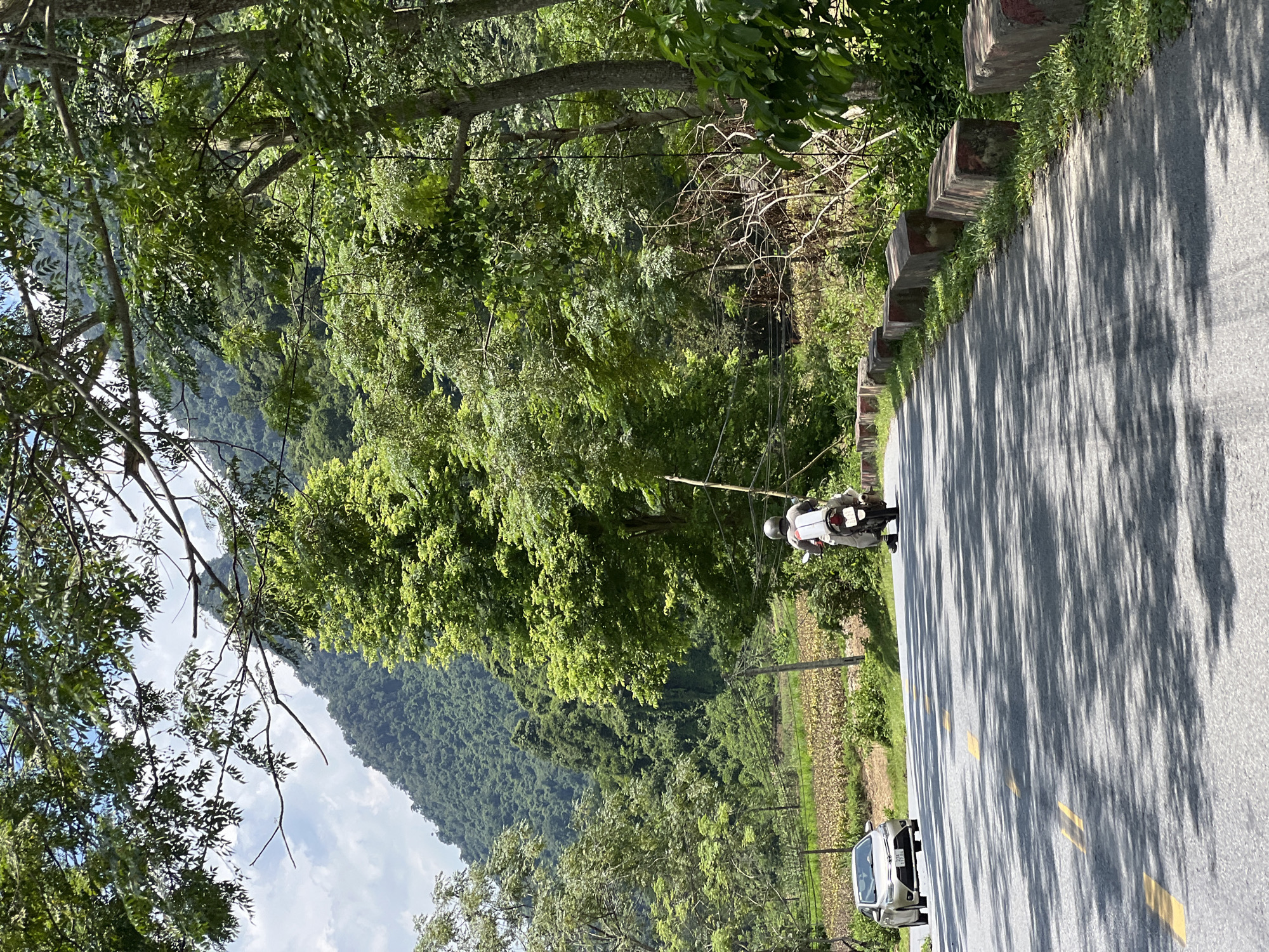 In Thuận Hòa Commune, Vietnam, a paved road winds through a lush, mountainous landscape. The road is lined with concrete barriers on the right and bordered by trees and vegetation. Sunlight filters through the leaves, casting dappled shadows on the asphalt. On the road, a silver car travels towards the viewer on the left lane, while a person on a motorcycle, wearing a helmet, moves away from the viewer in the right lane. In the background, a steep, tree-covered mountain rises, and a field of crops can be seen below. The sky is partly cloudy.