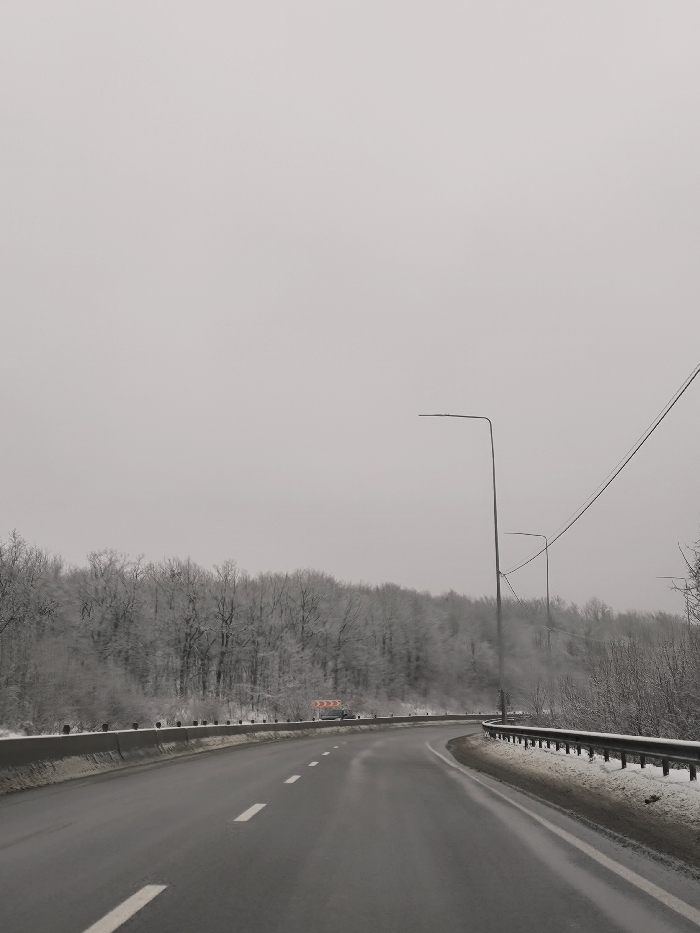 The image displays a winter road scene in Humentsi, Ukraine, under an overcast, light grey sky. A two-lane asphalt road, appearing wet, curves sharply to the right. White dashed lane markings are visible in the center, with a solid white line defining the right shoulder. A concrete barrier separates the left side of the road from a snow-covered embankment and a dense, leafless forest whose trees are dusted with snow or frost. A red and white chevron sign, indicating a sharp right curve, is visible on the left side beyond the concrete barrier. On the right side of the road, a metal guardrail runs parallel to the pavement, with accumulated snow at its base. Two tall, dark grey street lamps are positioned on the right, with overhead power lines visible extending across the upper right quadrant. A single dark-colored vehicle is discernible in the distance on the left side of the road, near the curve. No individuals are present in the scene.