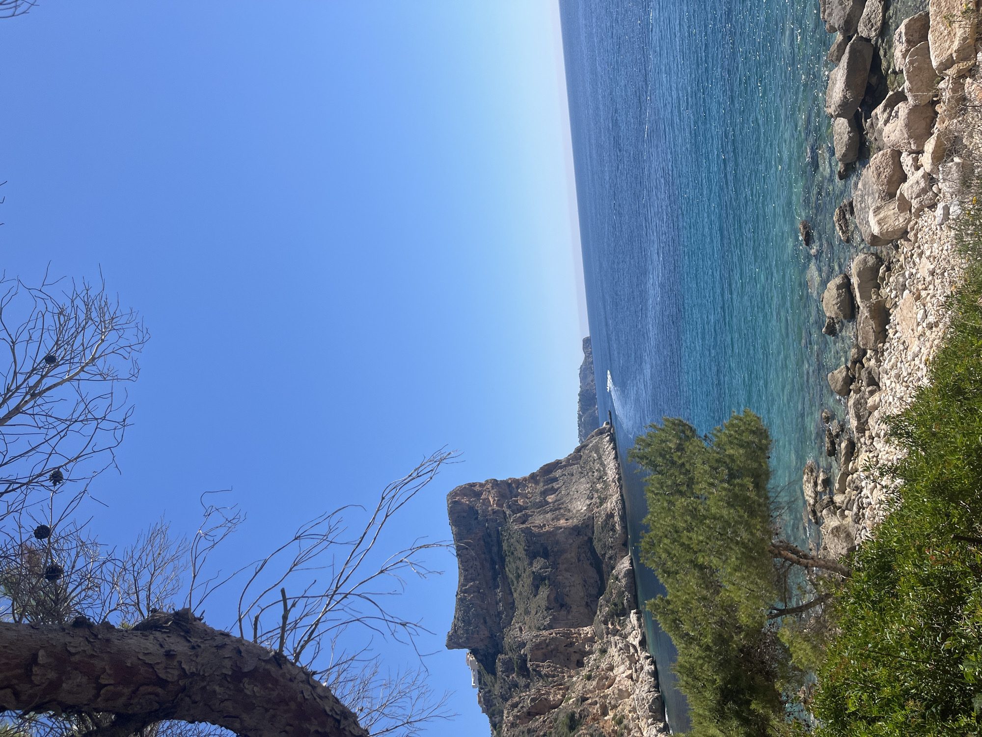 The image shows a coastline with clear blue water meeting a rocky shore. A large cliff face dominates the scene, covered with vegetation. The sky is a bright blue, and some branches of trees are visible in the foreground. The location is likely in el Poble Nou de Benitatxell / Benitachell, Spain, given the coastal landscape typical of the region.