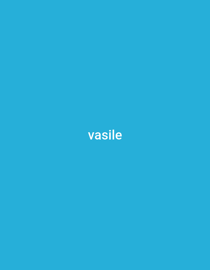 The image is a solid bright blue background with the word "vasile" written in white text in the center. The text is sans-serif and all lowercase. There is no discernible location in Cricova, Moldova, or any other context provided by the image itself.
