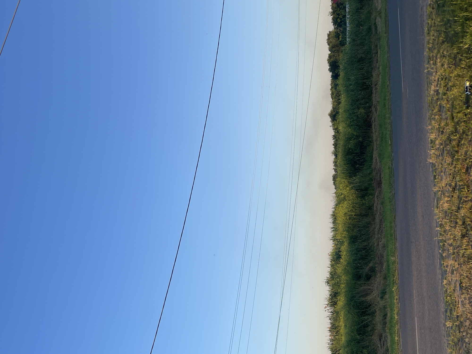 The image depicts a roadside scene under a clear blue sky. A paved road with a white line marking runs along the right side of the frame, bordered by a dense, tall green grassy field. In the distance, a line of trees forms a natural barrier. Several power lines are strung across the sky, running diagonally from the top left to the middle right of the image. The overall setting suggests a rural or semi-rural environment in Donskoye, Russia. The bright sky and the quality of light indicate it is daytime, likely late afternoon or early evening given the warm hues in the sky towards the horizon and the angle of light. No people or specific activities are visible, with the focus being on the landscape and infrastructure. The scene conveys a sense of openness and tranquility.