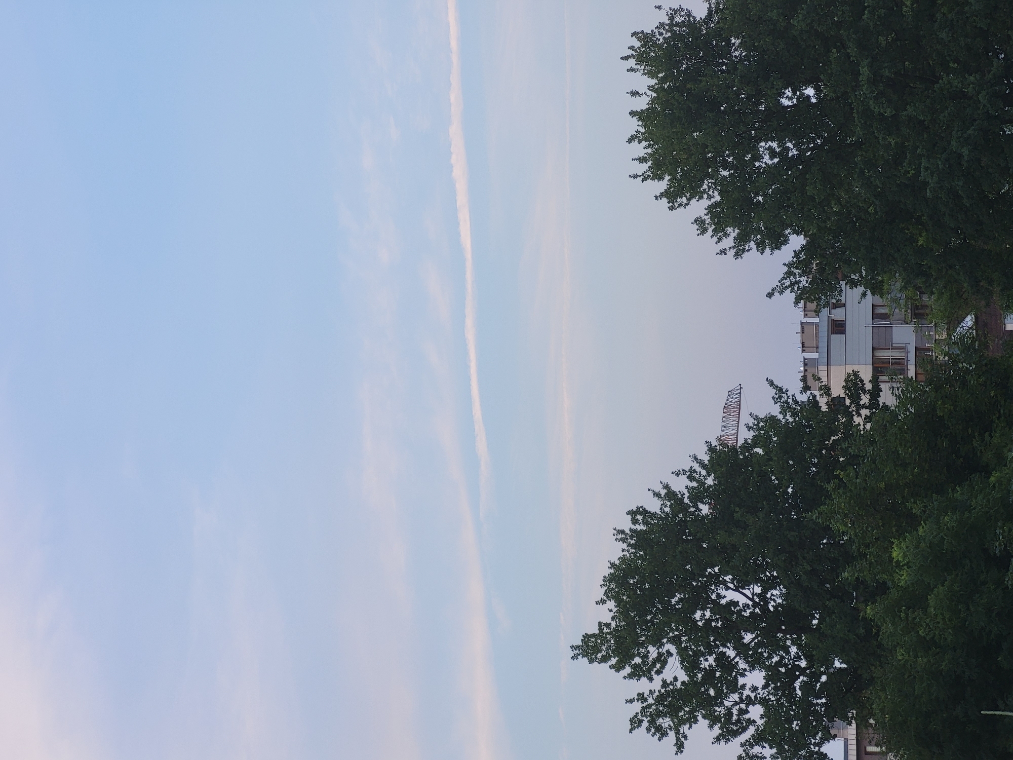The image depicts a cityscape at dusk or dawn, with a pale blue sky featuring thin, wispy clouds. In the foreground, the lush green canopies of large trees dominate the lower half of the frame, with the tops of buildings and a construction crane visible between them. The architecture suggests a residential or mixed-use urban area. The overall mood is tranquil, with the soft lighting indicating the transitional hours of the day.