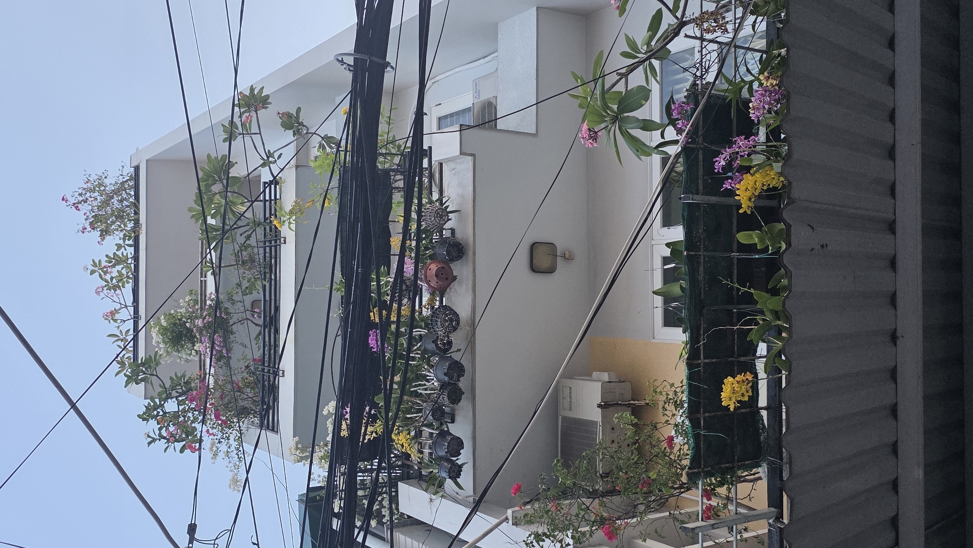 A low-angle shot depicts the exterior of a multistory building in Nha Trang, Vietnam, from a slightly skewed perspective. The building is white and appears to have balconies adorned with various plants, including flowering vines, some with pink, yellow, and white blooms. Hanging planters line one of the balconies. Dense clusters of black electrical wires dominate the foreground, obscuring a significant portion of the building. An air conditioning unit is affixed to an exterior wall. The right side of the image is partially obscured by a gray corrugated material, likely roofing. The sky is visible in the upper left corner, appearing pale blue.
