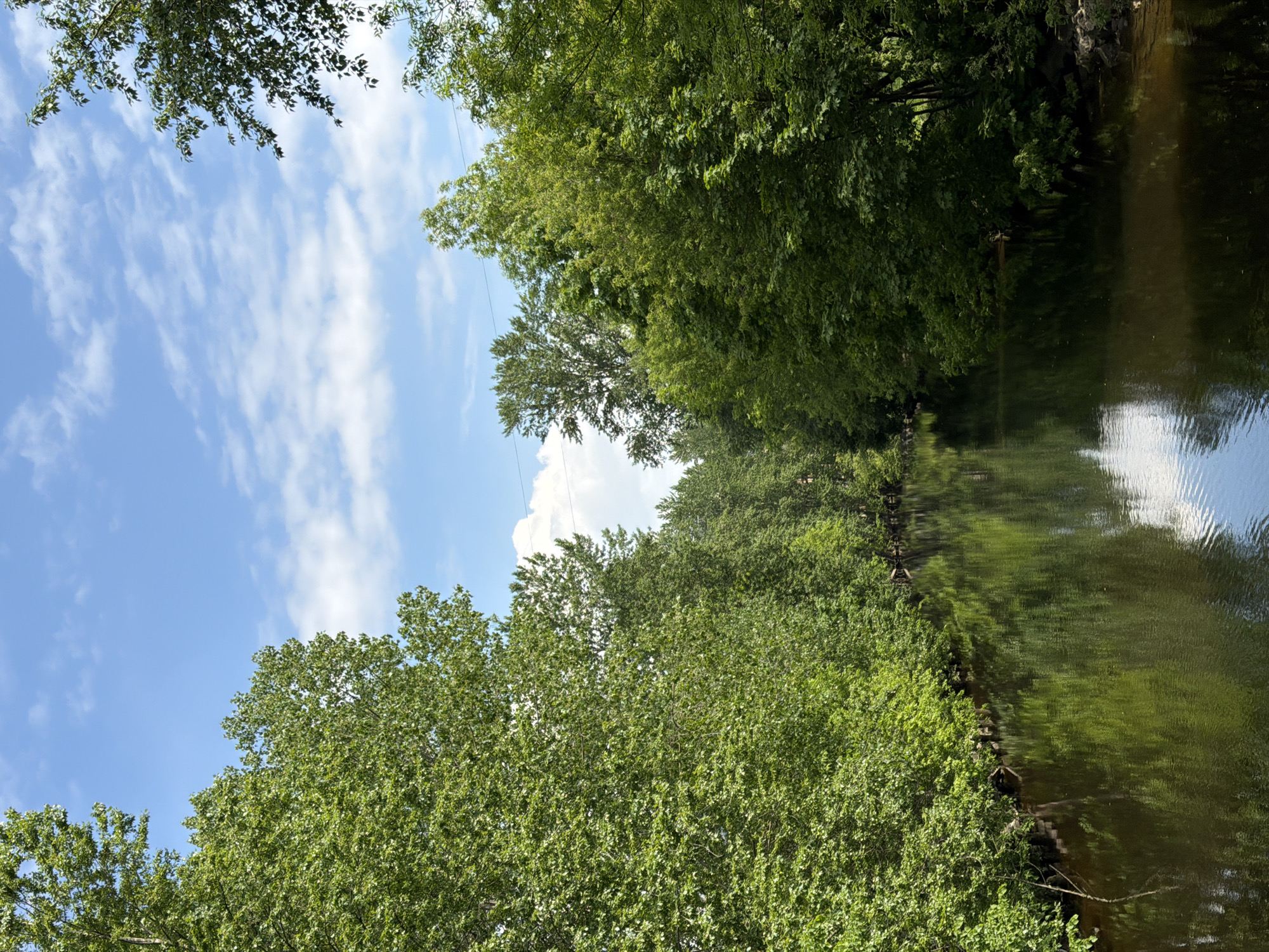 The image, when viewed in its correct landscape orientation, depicts a serene waterway flanked by dense green foliage under a bright blue sky.
The body of water, likely a canal or river in Saint Petersburg, Russia, occupies the lower right portion and extends into the distance. Its surface is a dark, reflective green, mirroring the sky and surrounding trees. Patches of bright white and light blue are visible where the clouds and sky are reflected, with subtle ripples disturbing the reflections.
The banks of the waterway are heavily vegetated. On the left, a vibrant canopy of deciduous trees with rich green leaves lines the water's edge, creating a lush corridor. Scattered along this bank, visible among the lower branches and bushes, are several dark wooden posts or structures, possibly for bank stabilization or an old mooring. The opposite bank (further right) is also densely covered with tall, verdant trees, forming a continuous natural boundary.
The upper portion of the image reveals a clear blue sky, interspersed with scattered, wispy white clouds that suggest fair weather. A faint, thin wire or utility line can be observed stretching across the sky, mostly above the trees on the left.
The scene conveys a peaceful outdoor atmosphere, bathed in bright daylight, indicating a late morning or early afternoon setting. There are no people, explicit activities, or visible text. This tranquil environment offers a verdant retreat, typical of Saint Petersburg's numerous canals or parks.